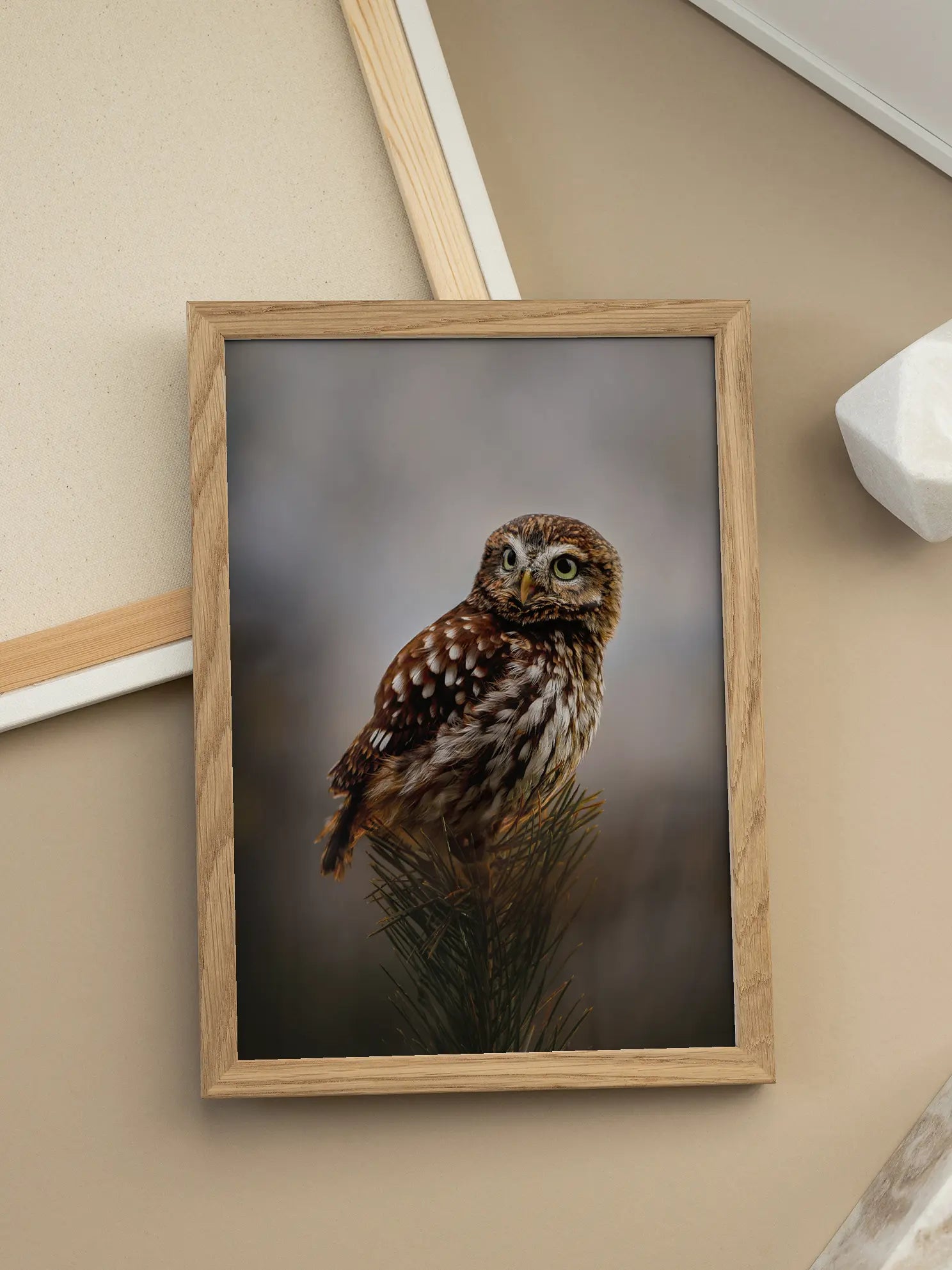 Morning With Owl Poster