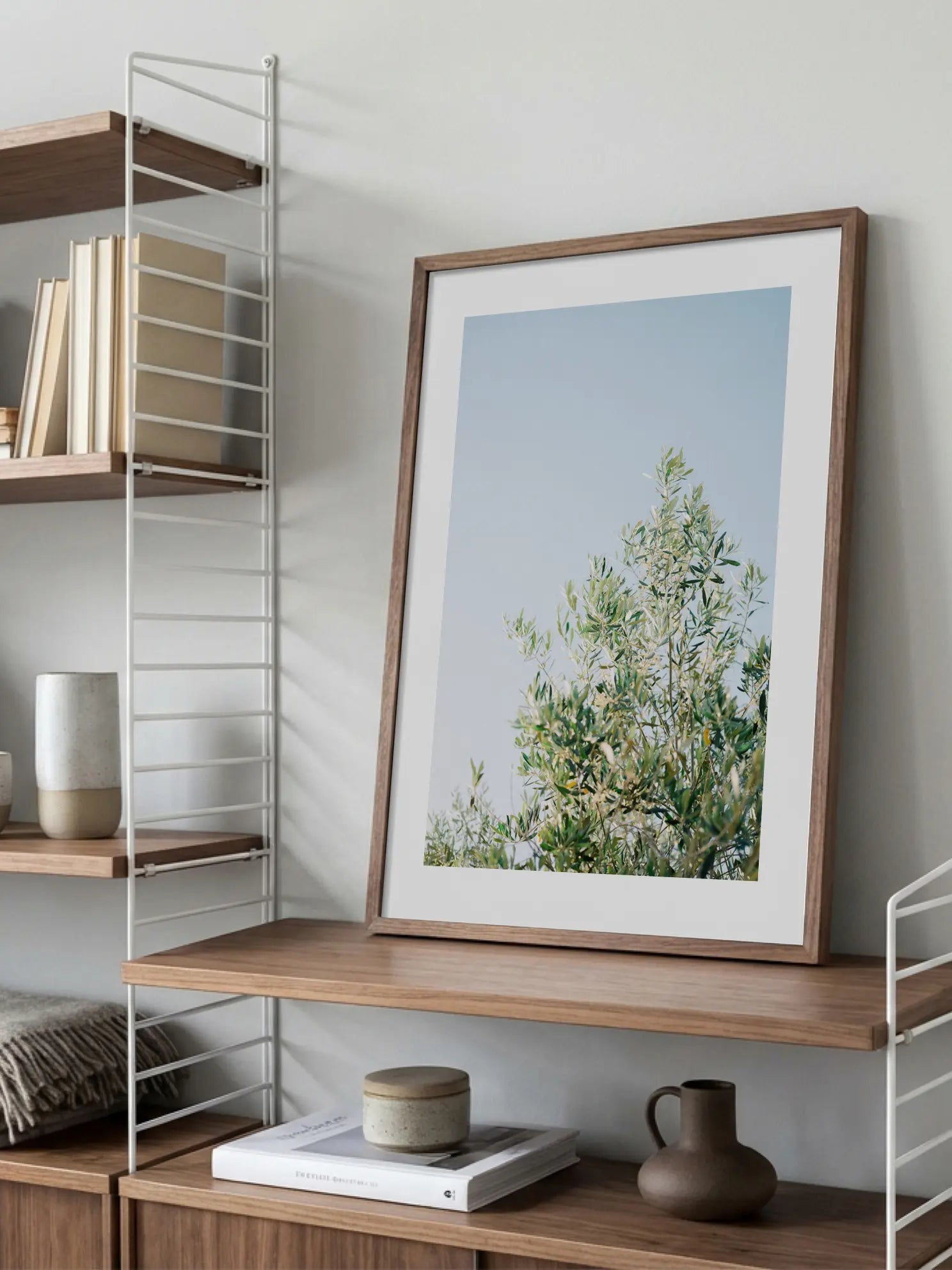 Olive Tree Sky Poster