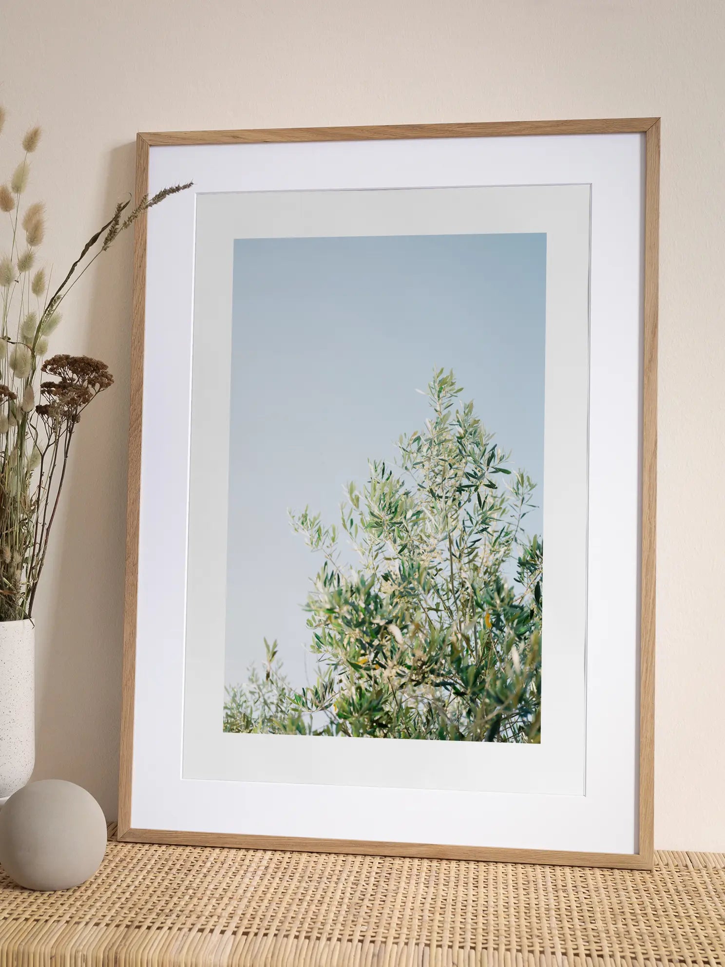 Olive Tree Sky Poster