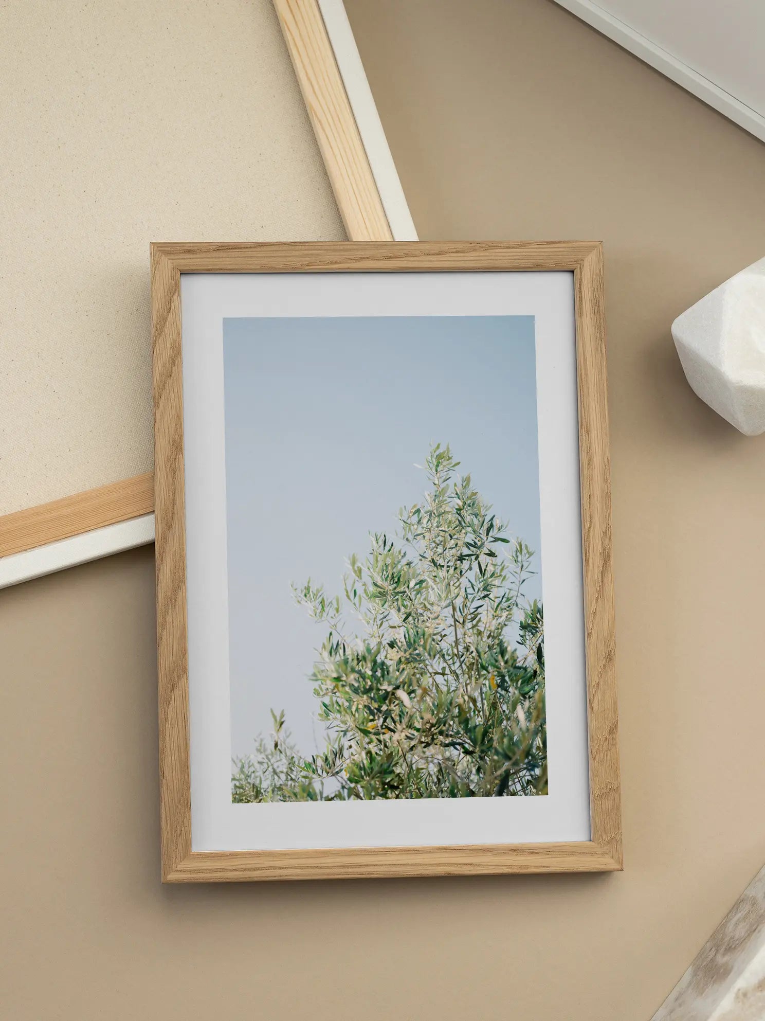Olive Tree Sky Poster