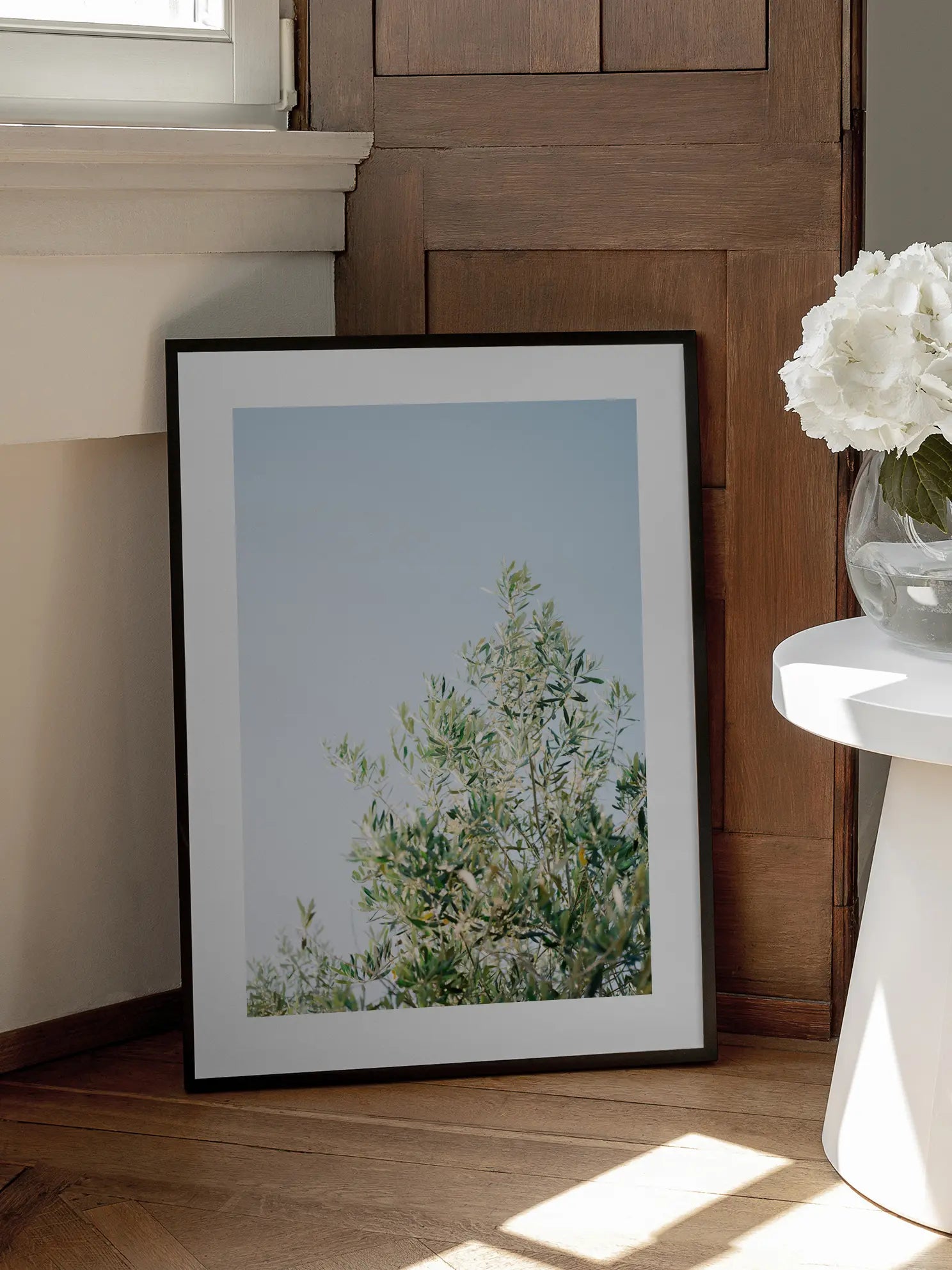 Olive Tree Sky Poster