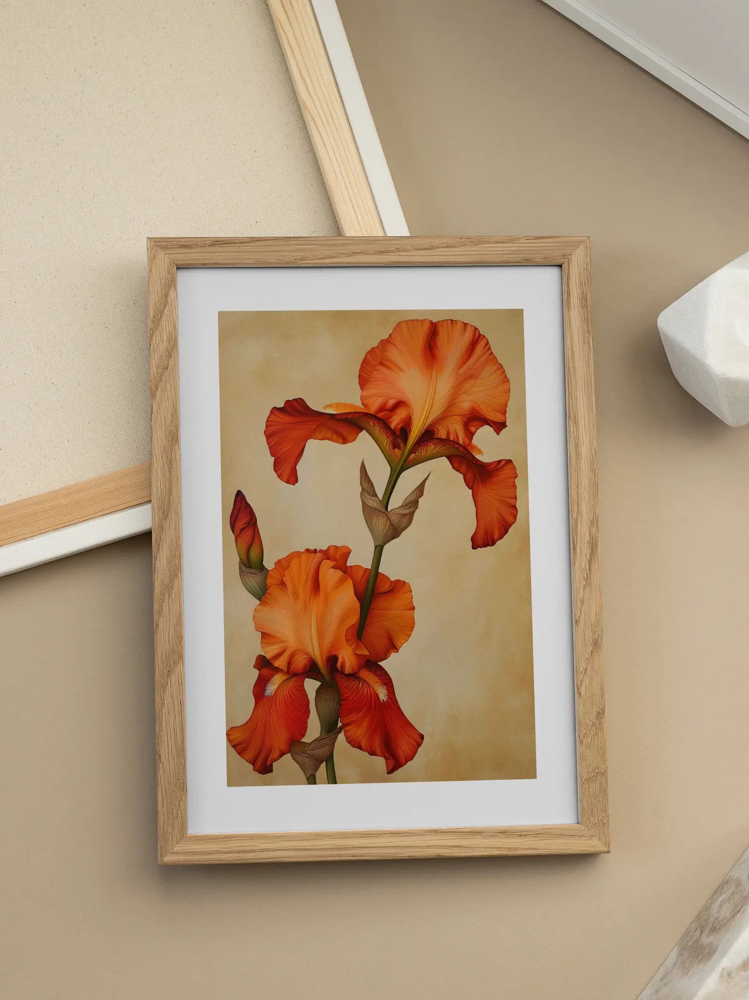 Orange Iris Poster