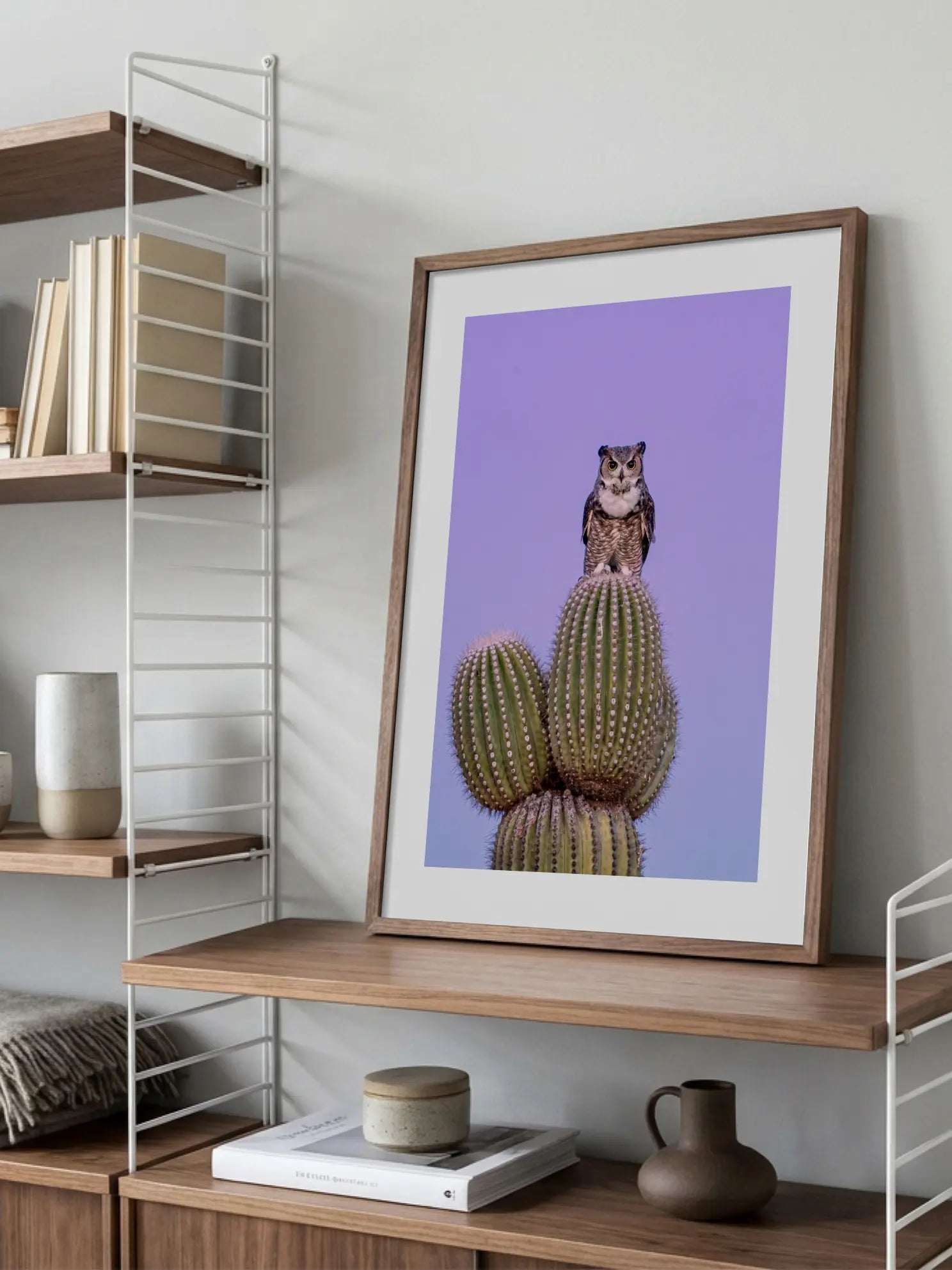 Owl on Cactus Poster