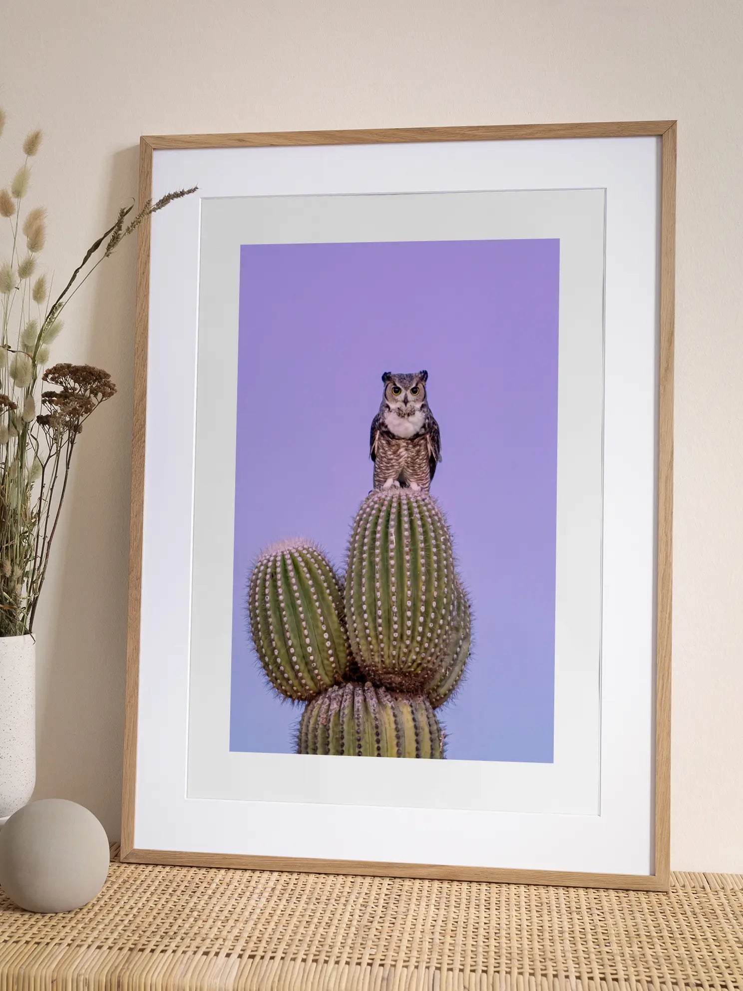 Owl on Cactus Poster