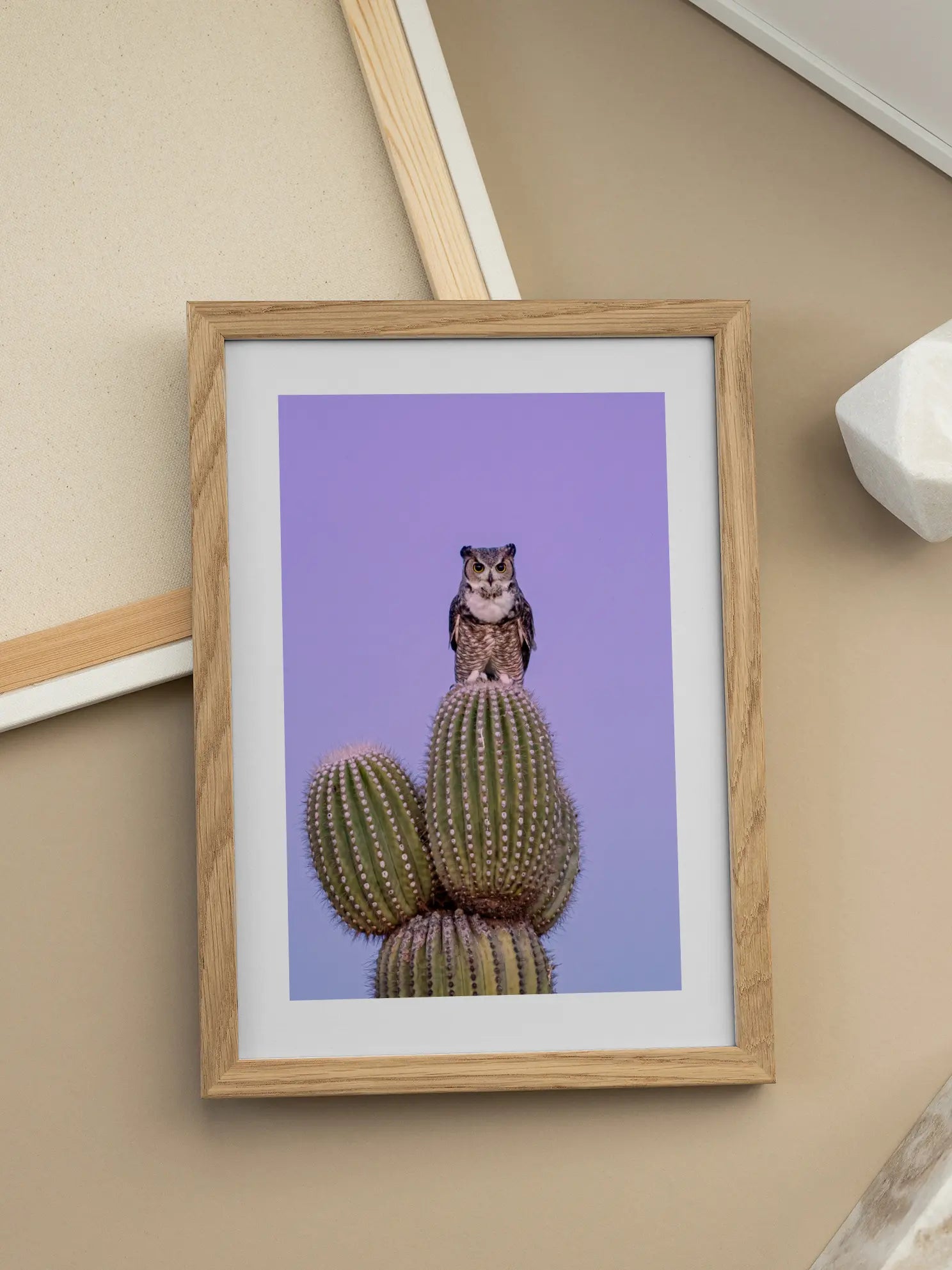 Owl on Cactus Poster