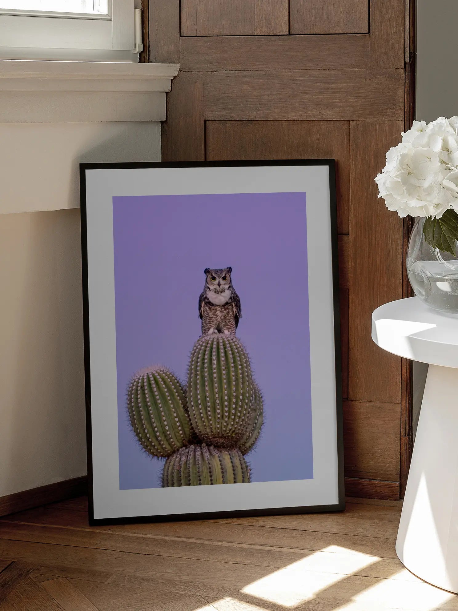 Owl on Cactus Poster