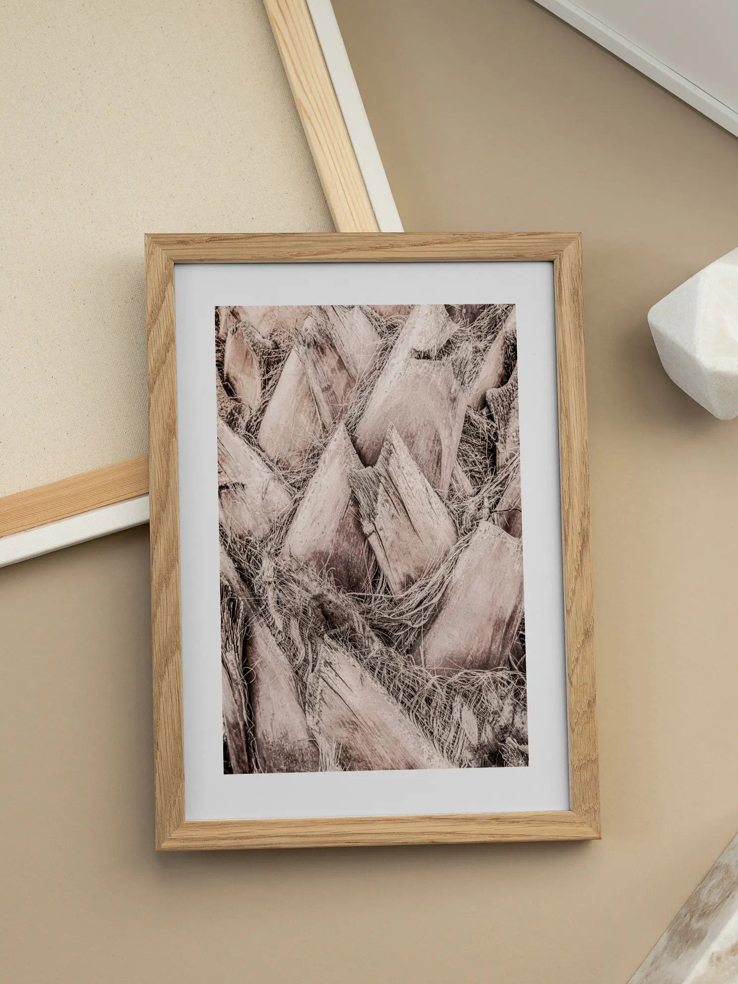Palm Bark Poster