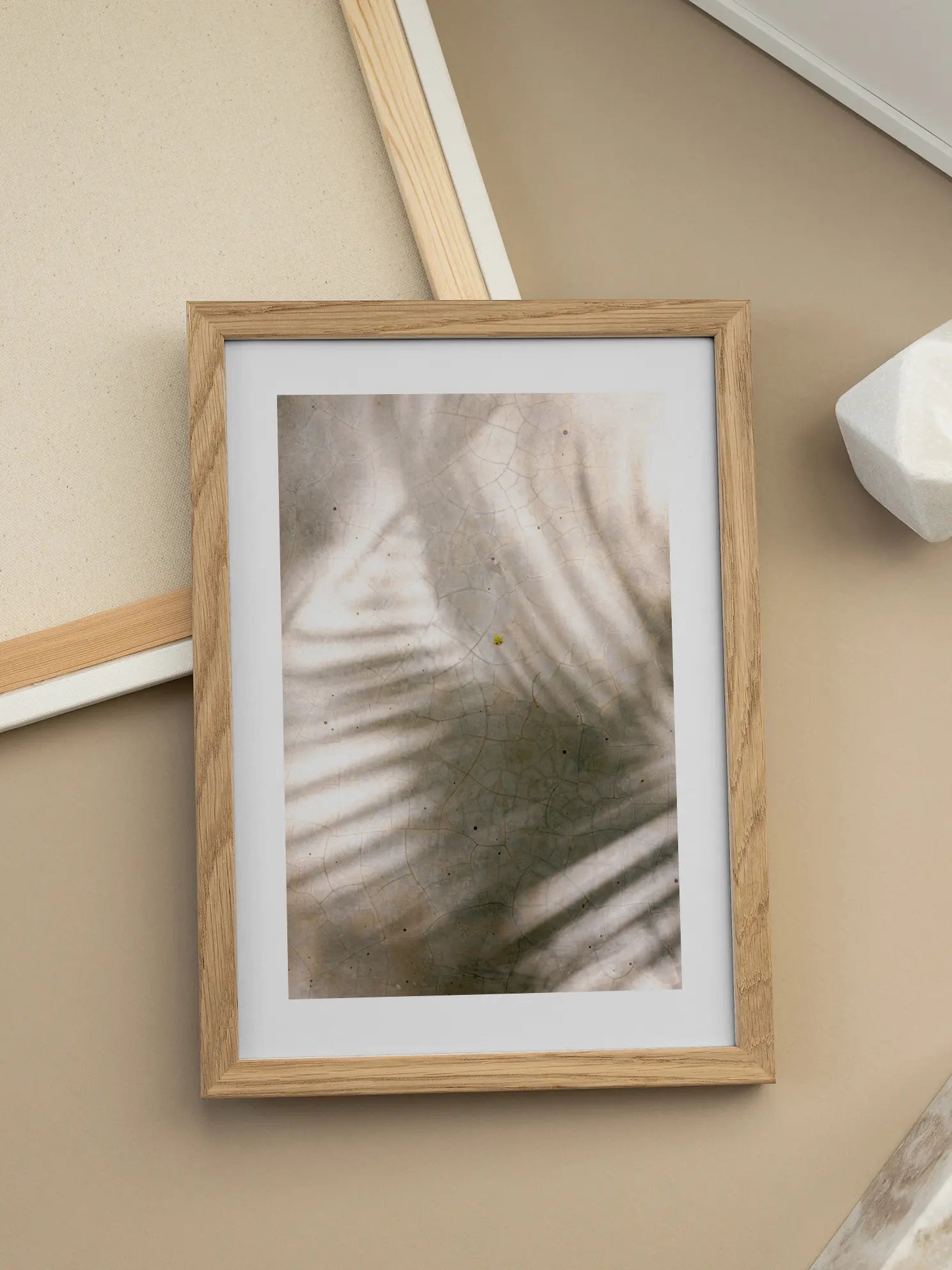 Palm Leaf Shadows Poster