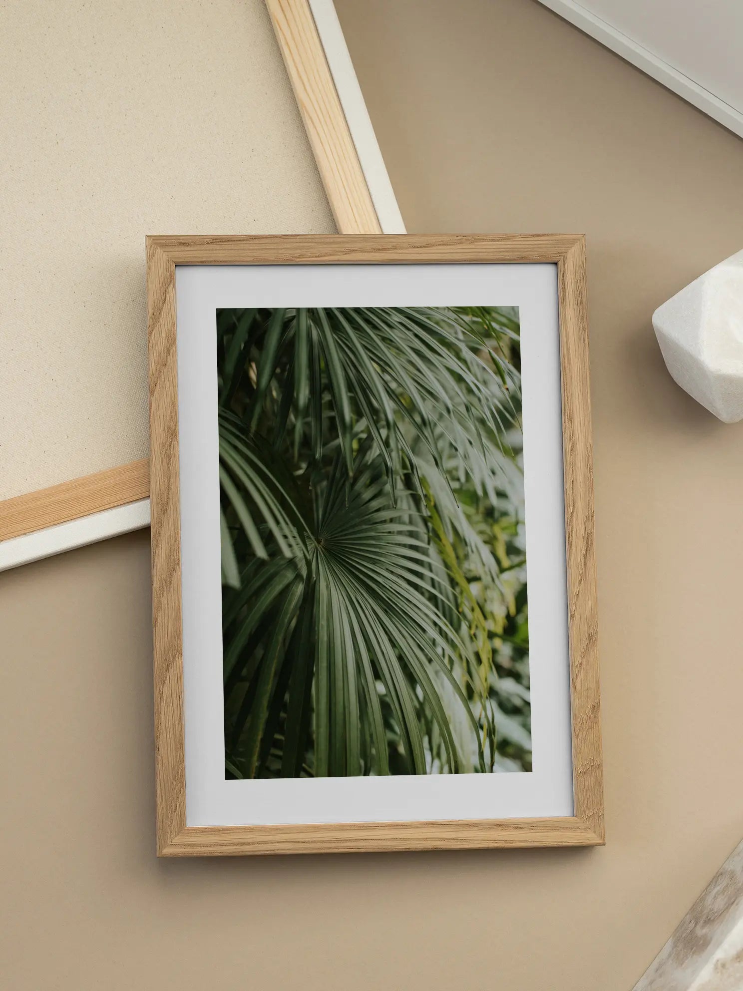 Palm Leaves Poster