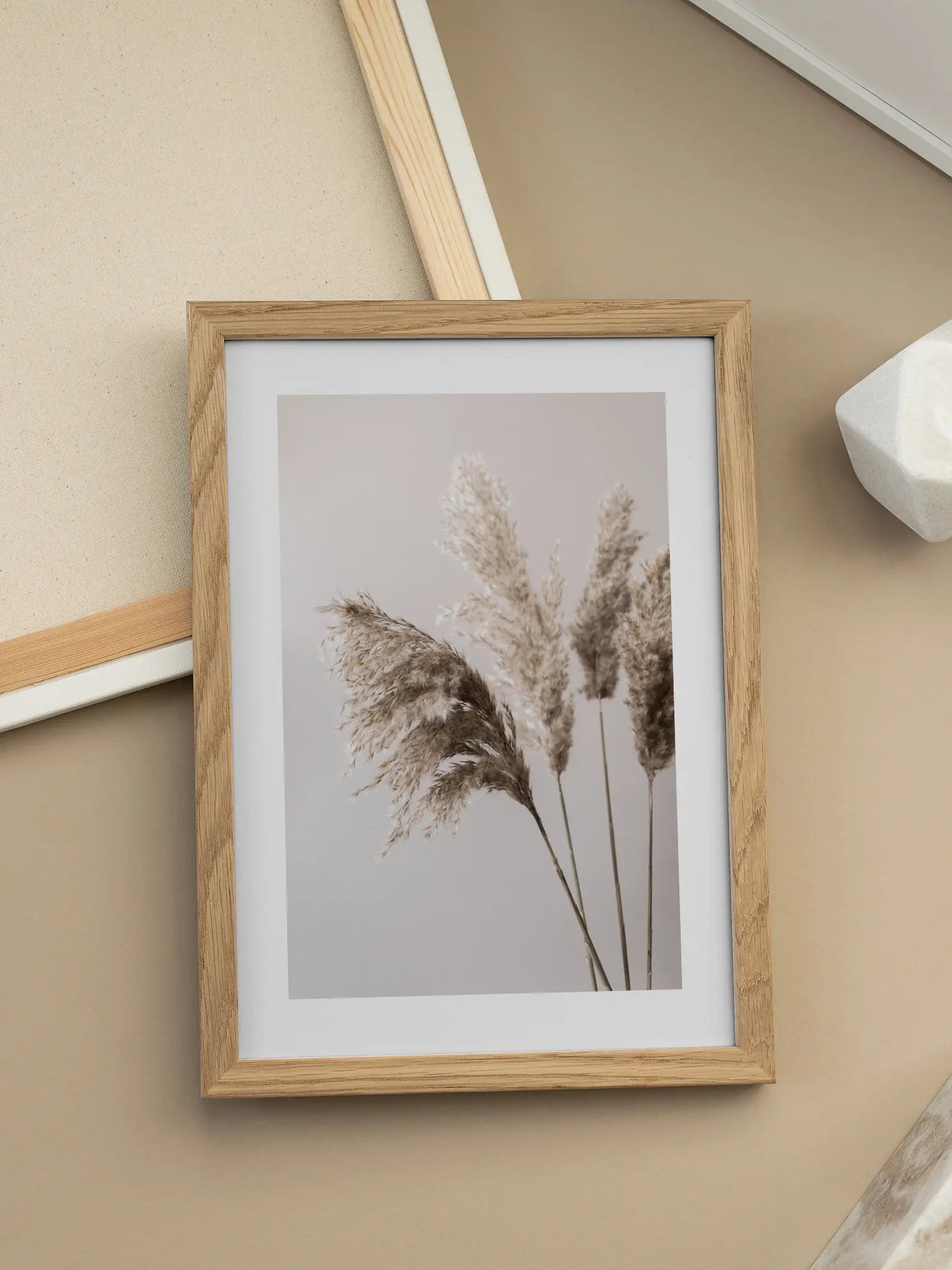 Pampas Grass Poster