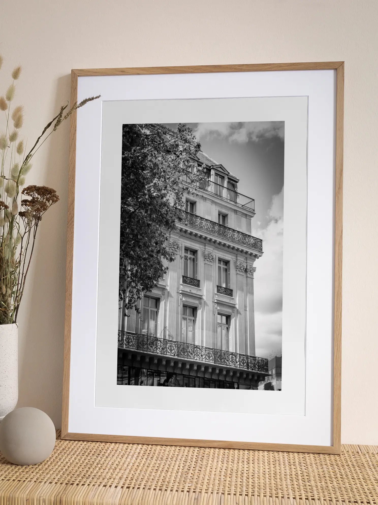 Parisian Facade Poster