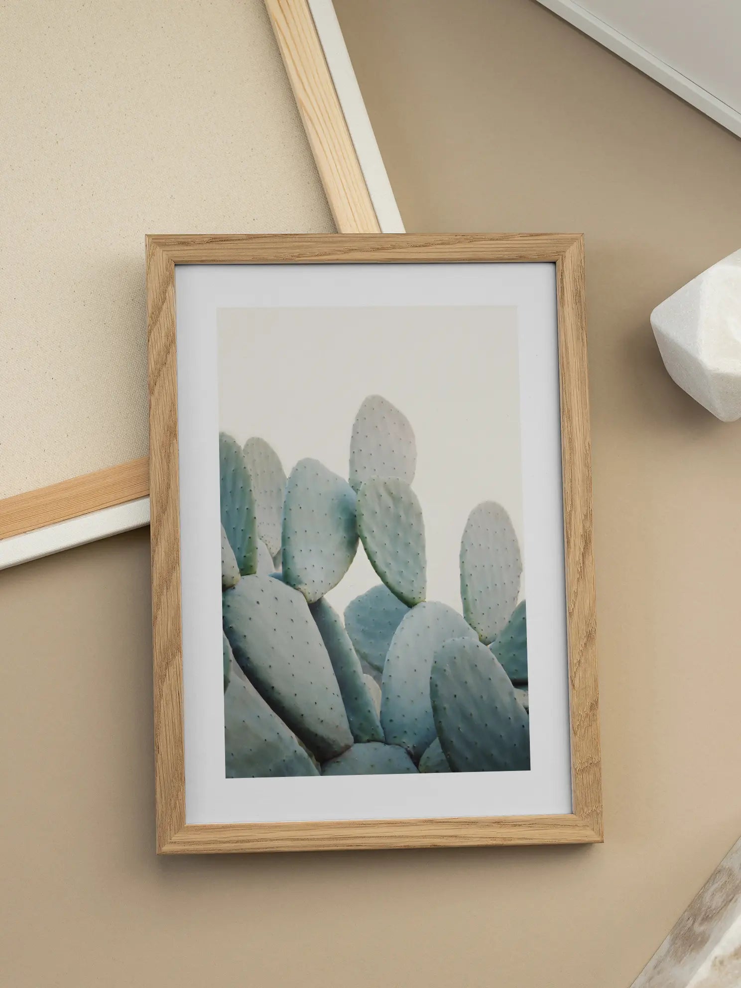 Pastel Cacti Poster