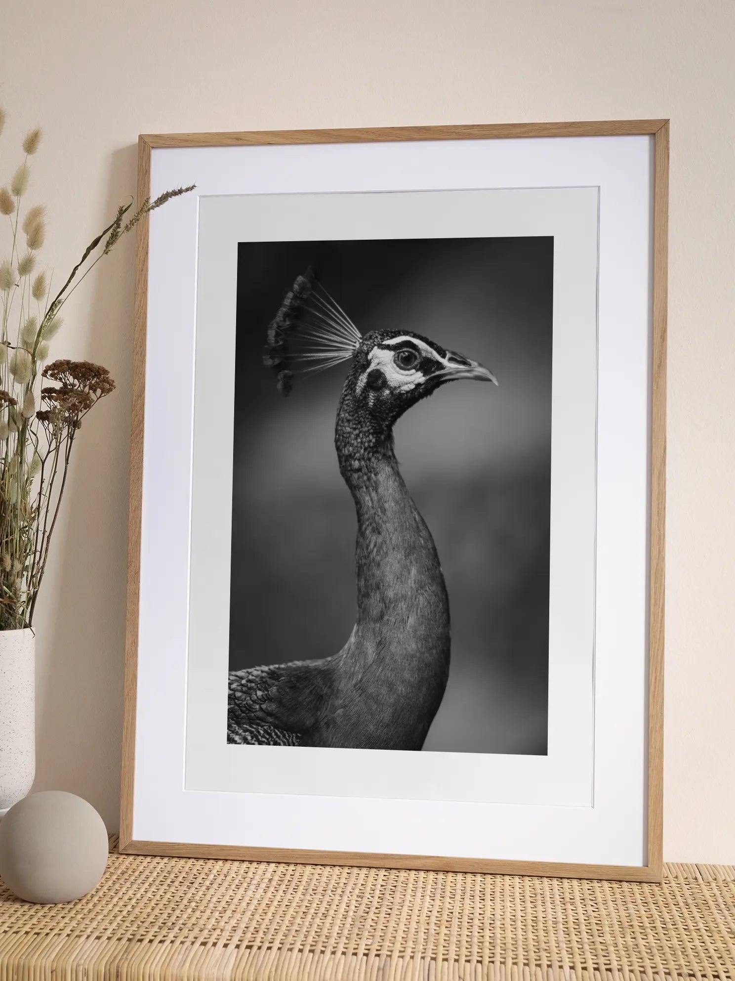 Peacock Portrait Poster