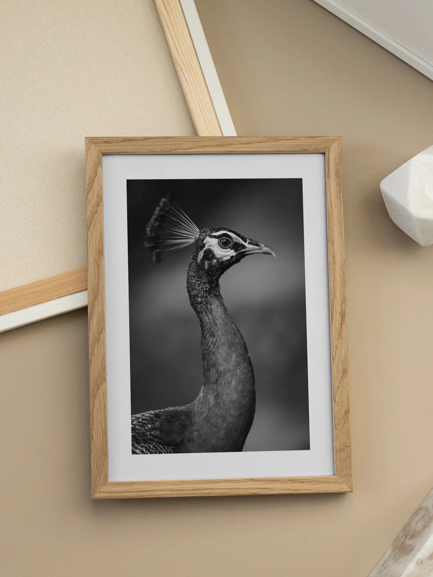 Peacock Portrait Poster