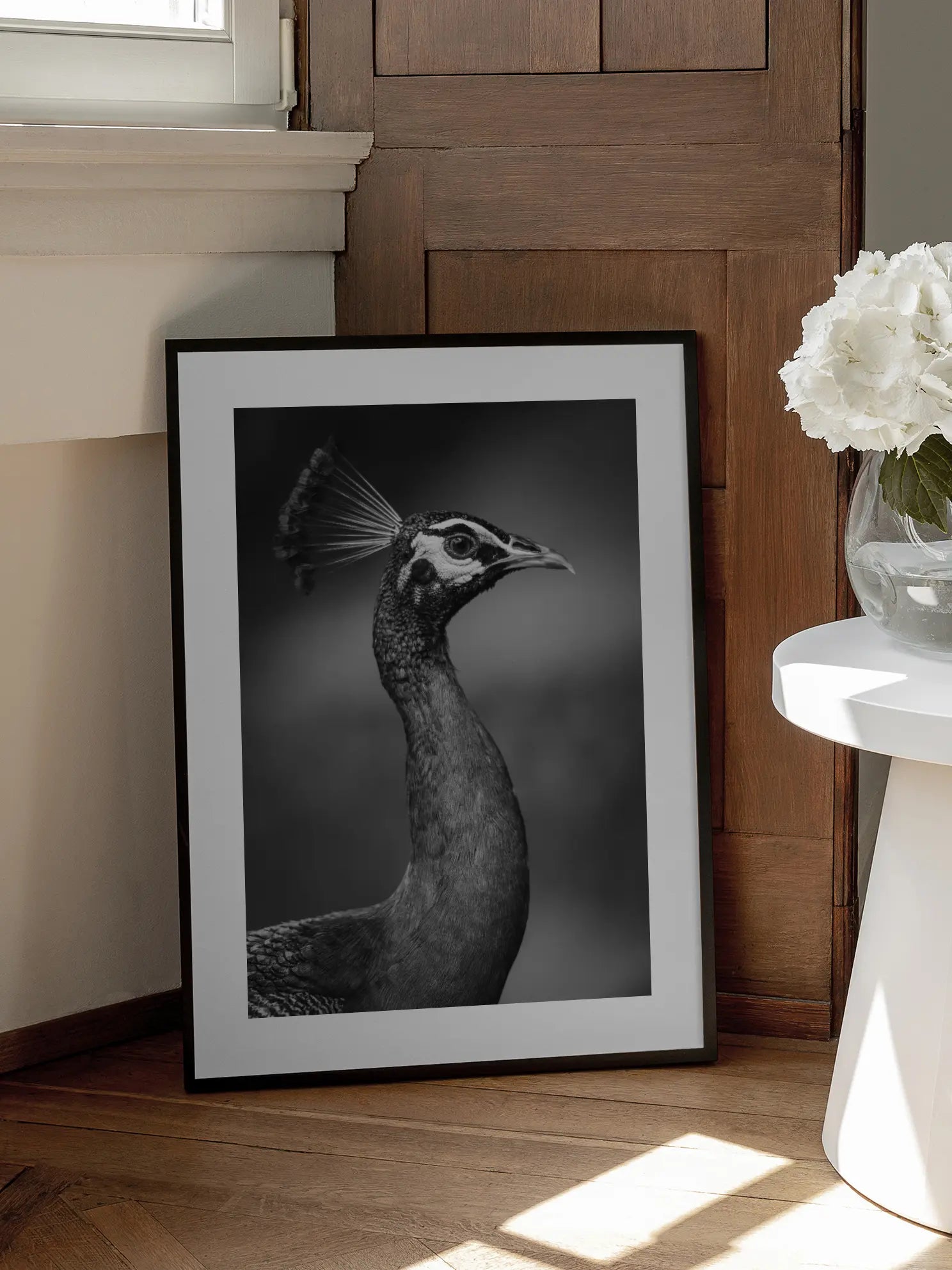 Peacock Portrait Poster