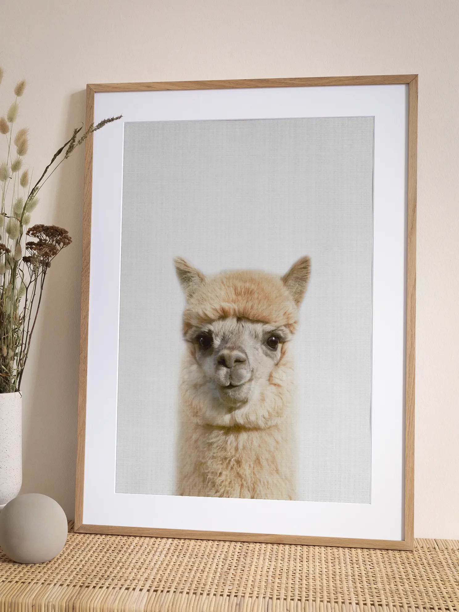 Peekaboo Alpaca Poster