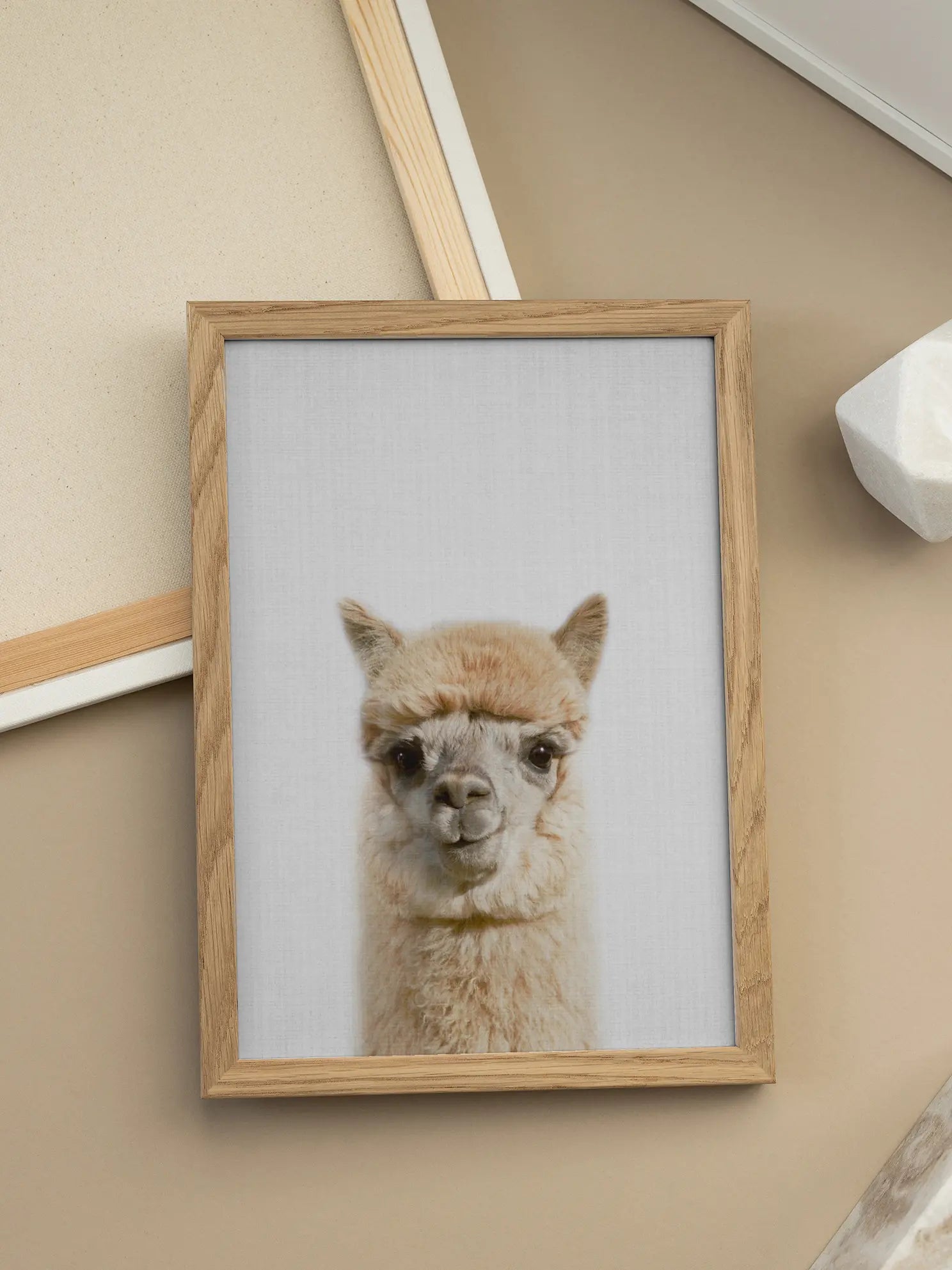 Peekaboo Alpaca Poster