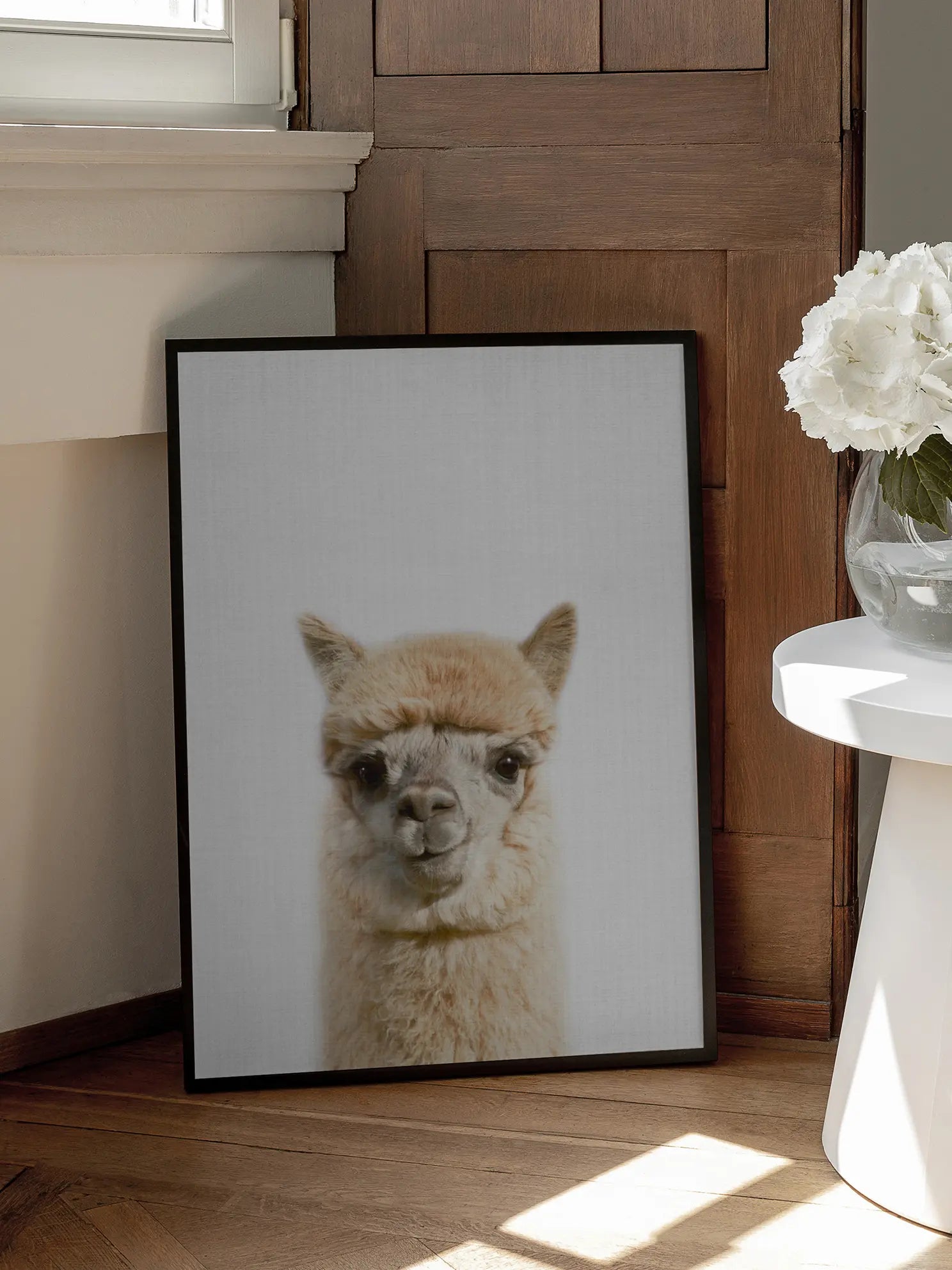 Peekaboo Alpaca Poster