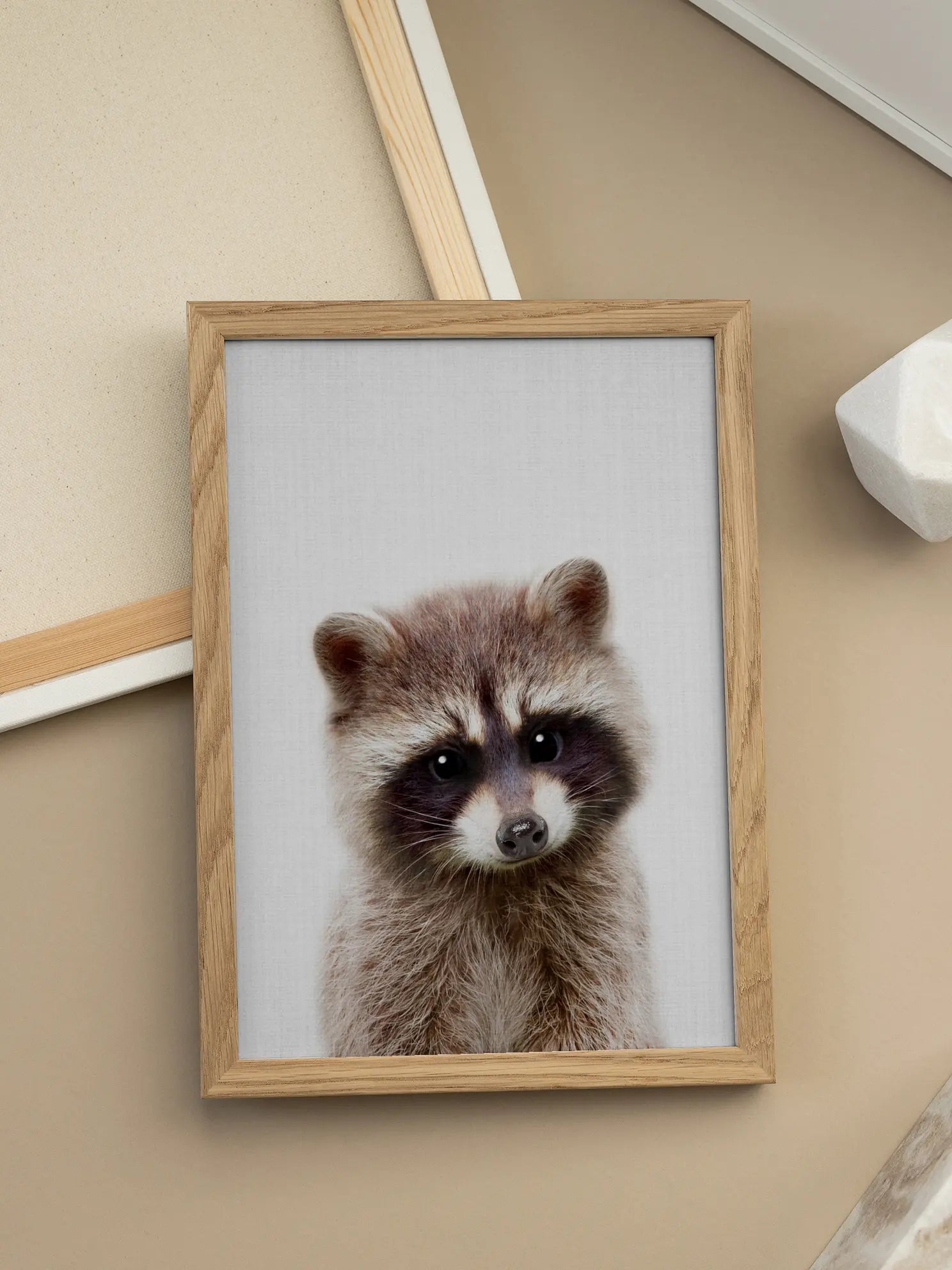 Peekaboo Raccoon Poster