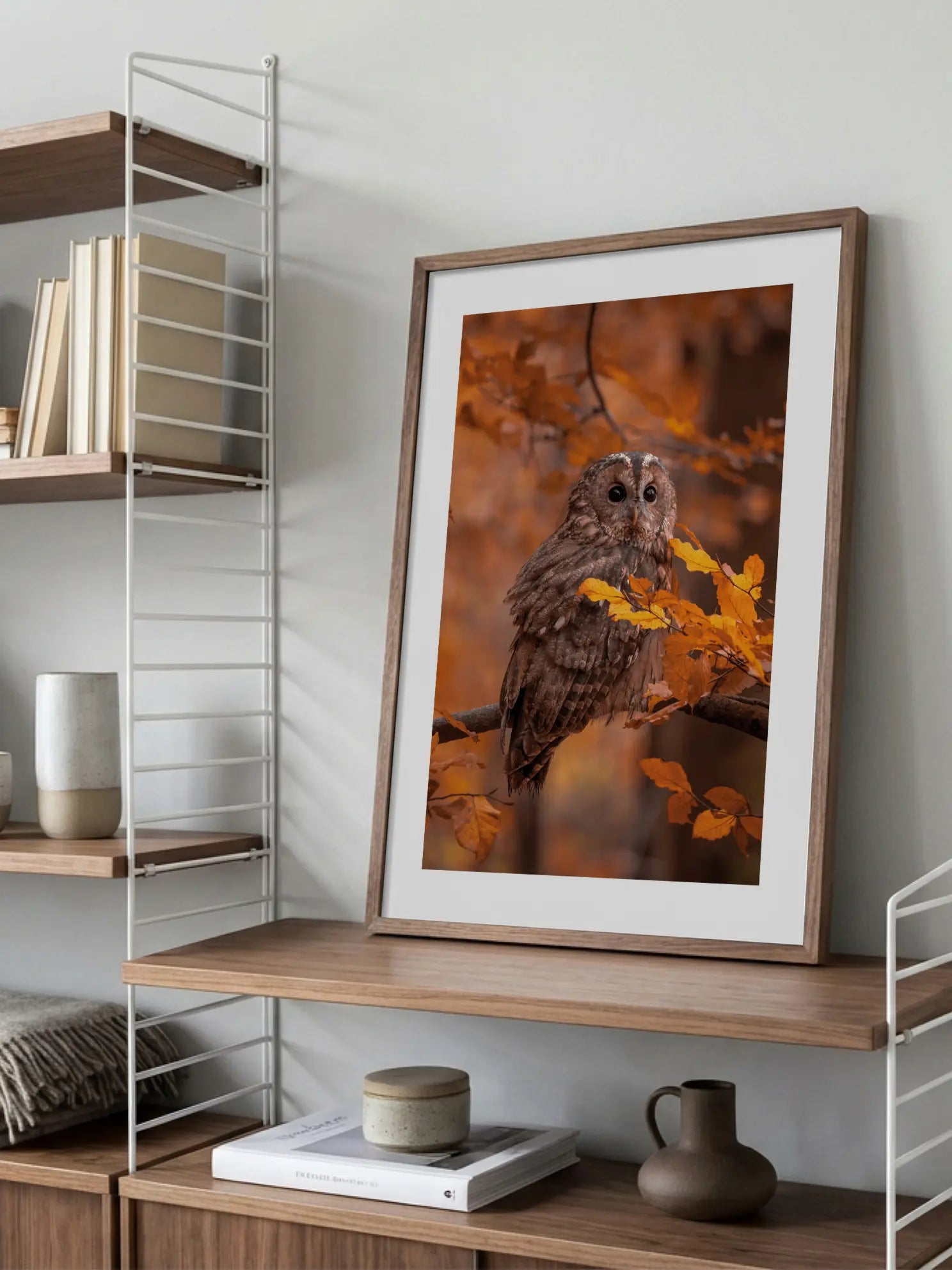 Peeking Owl Poster