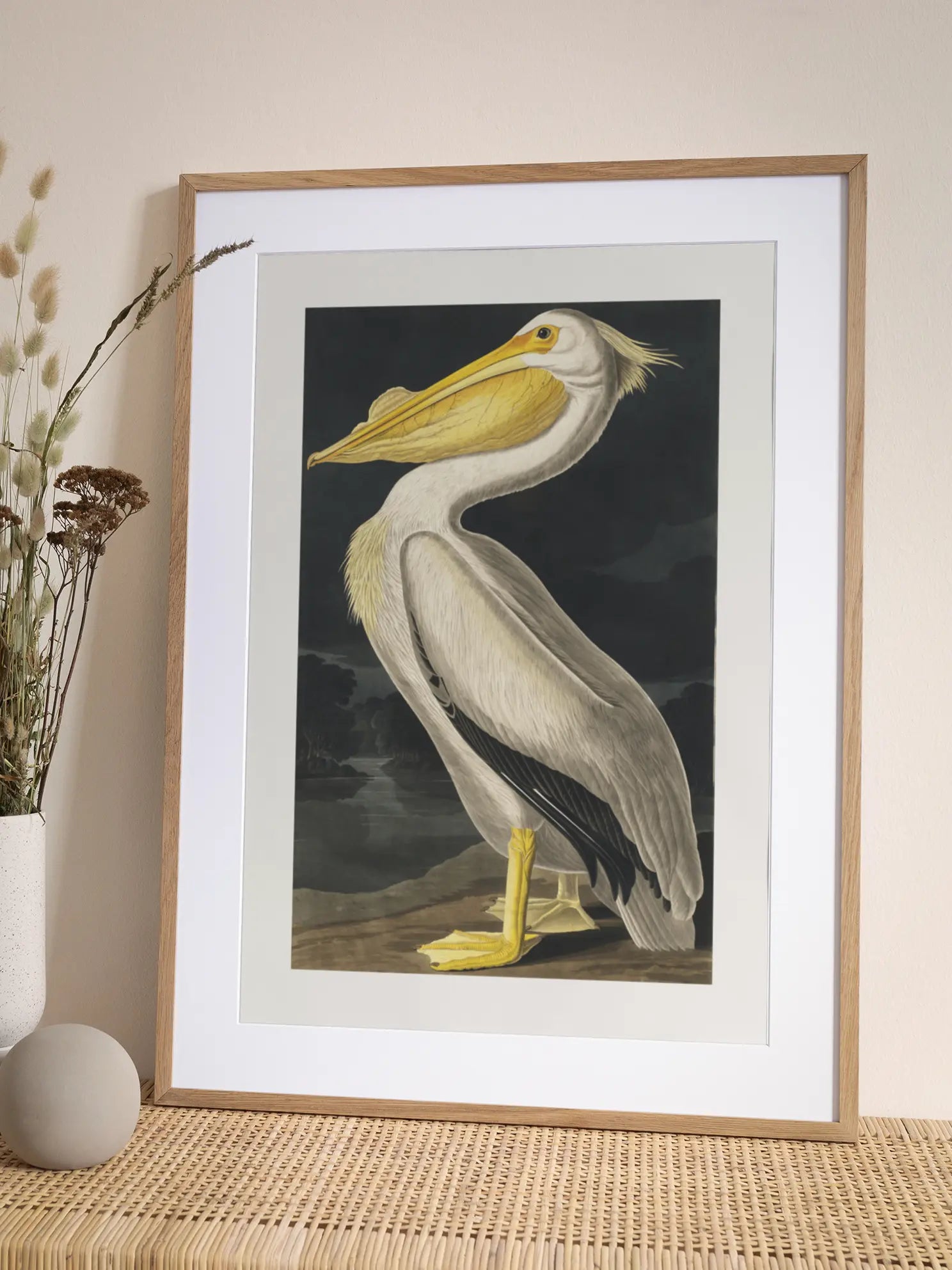 Pelican Poster