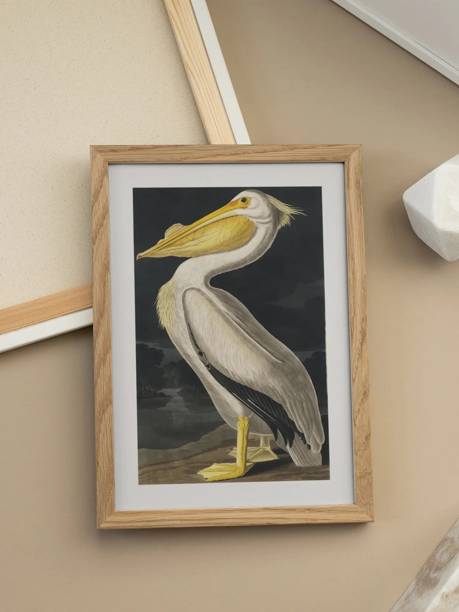 Pelican Poster
