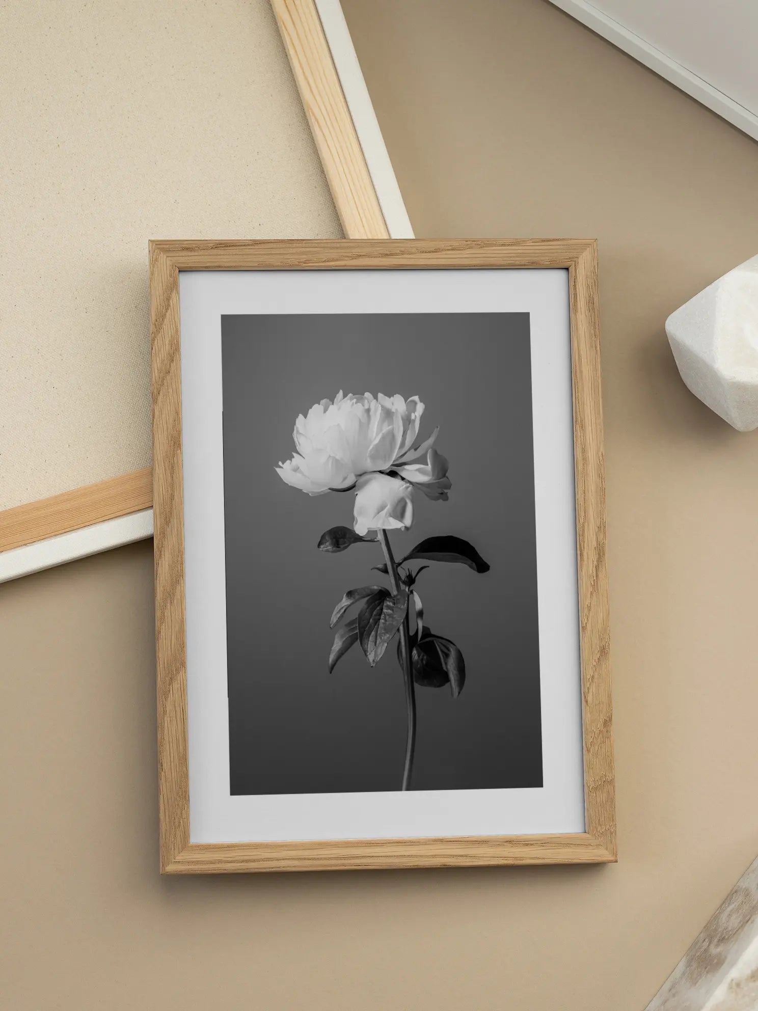Peony in Black and White Poster