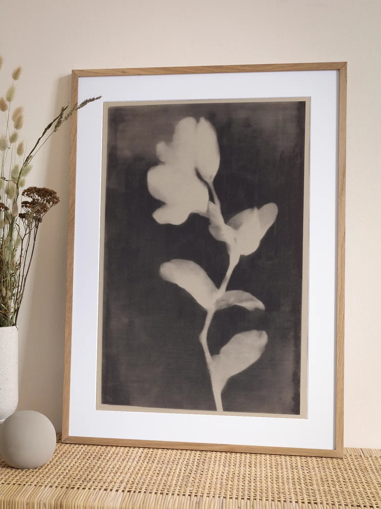 Photogram Poster