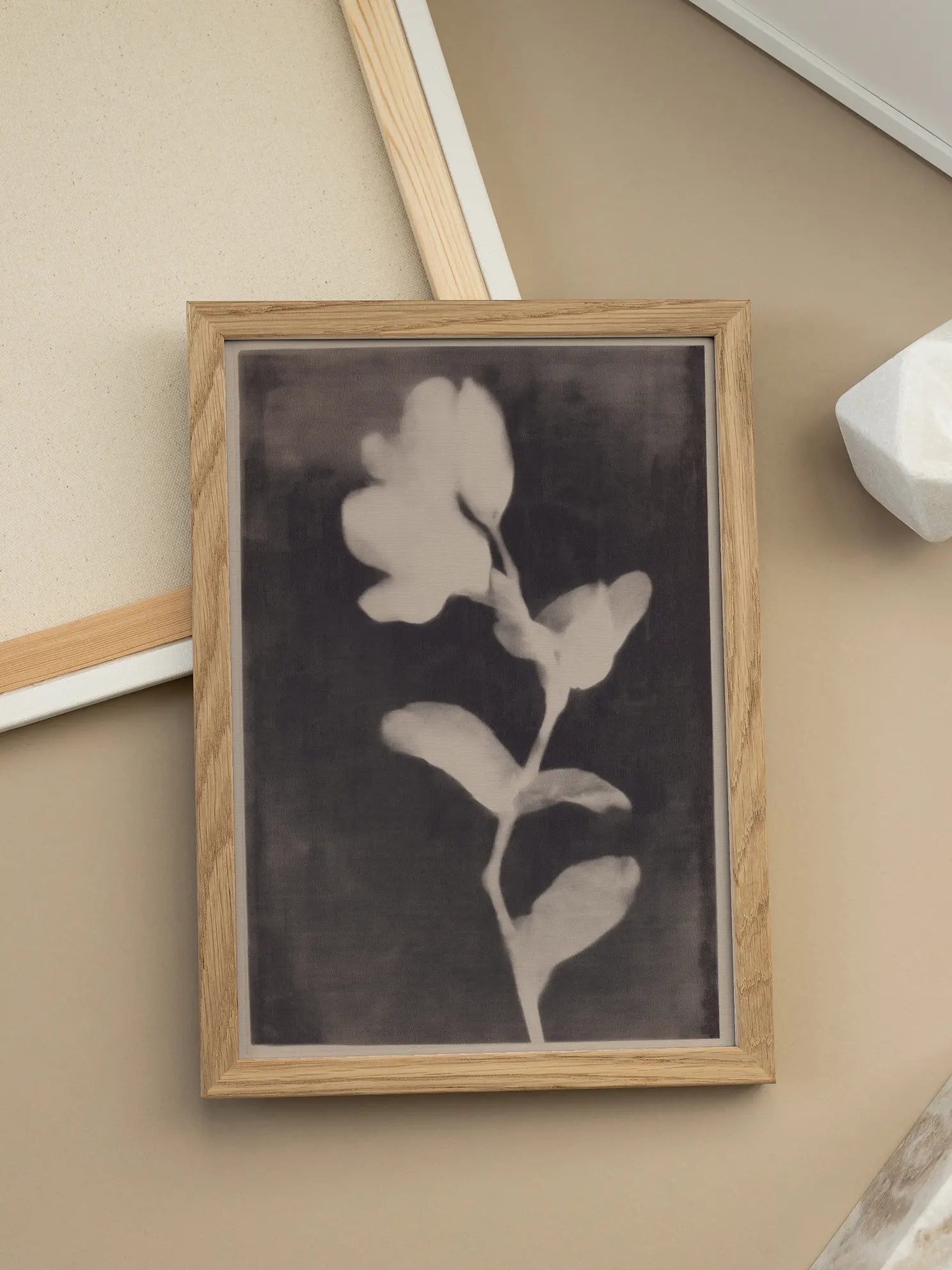 Photogram Poster