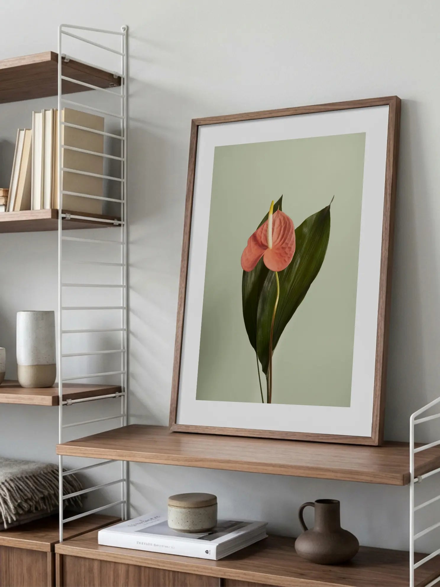Pink Anthurium Poster