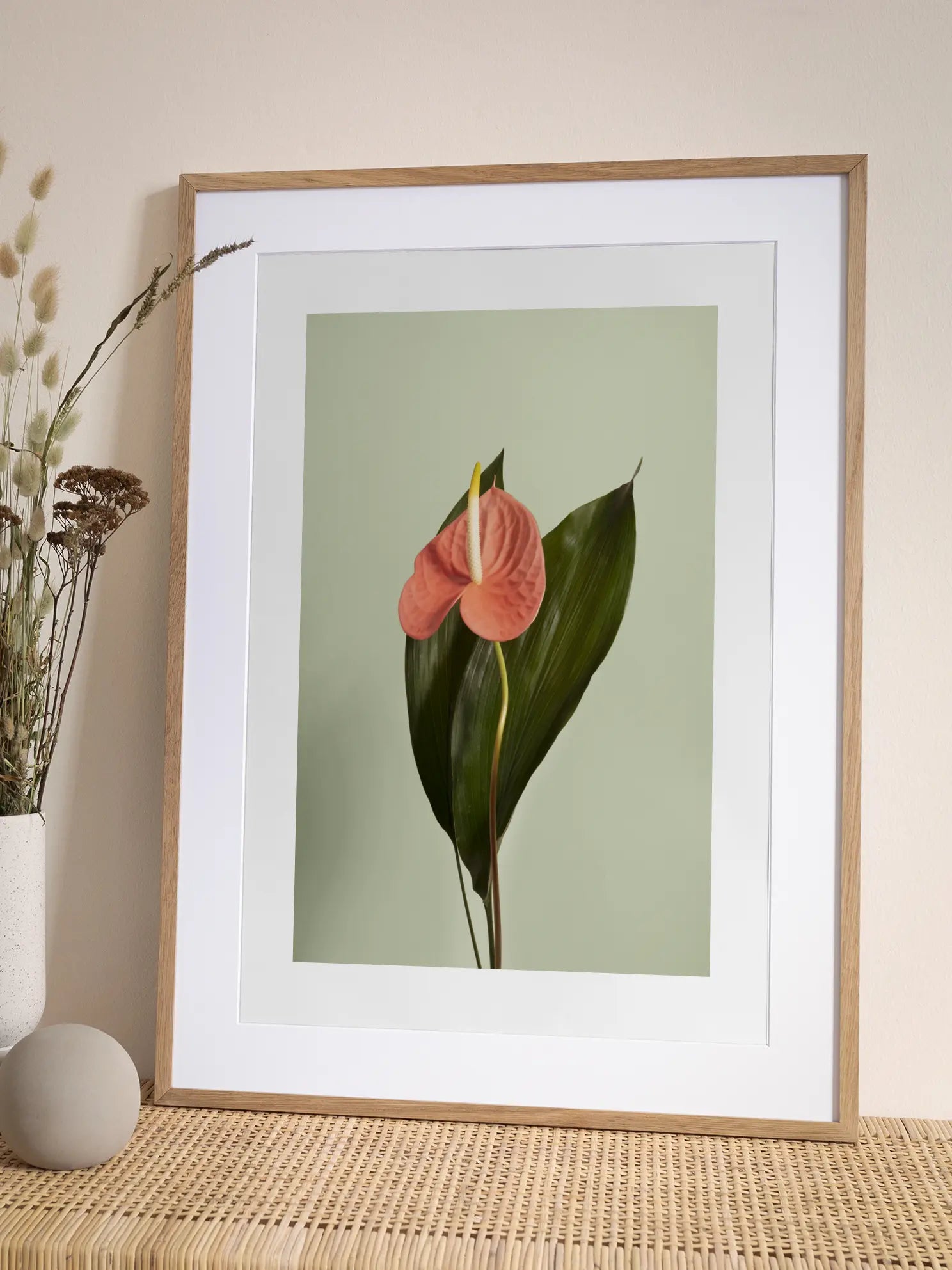 Pink Anthurium Poster