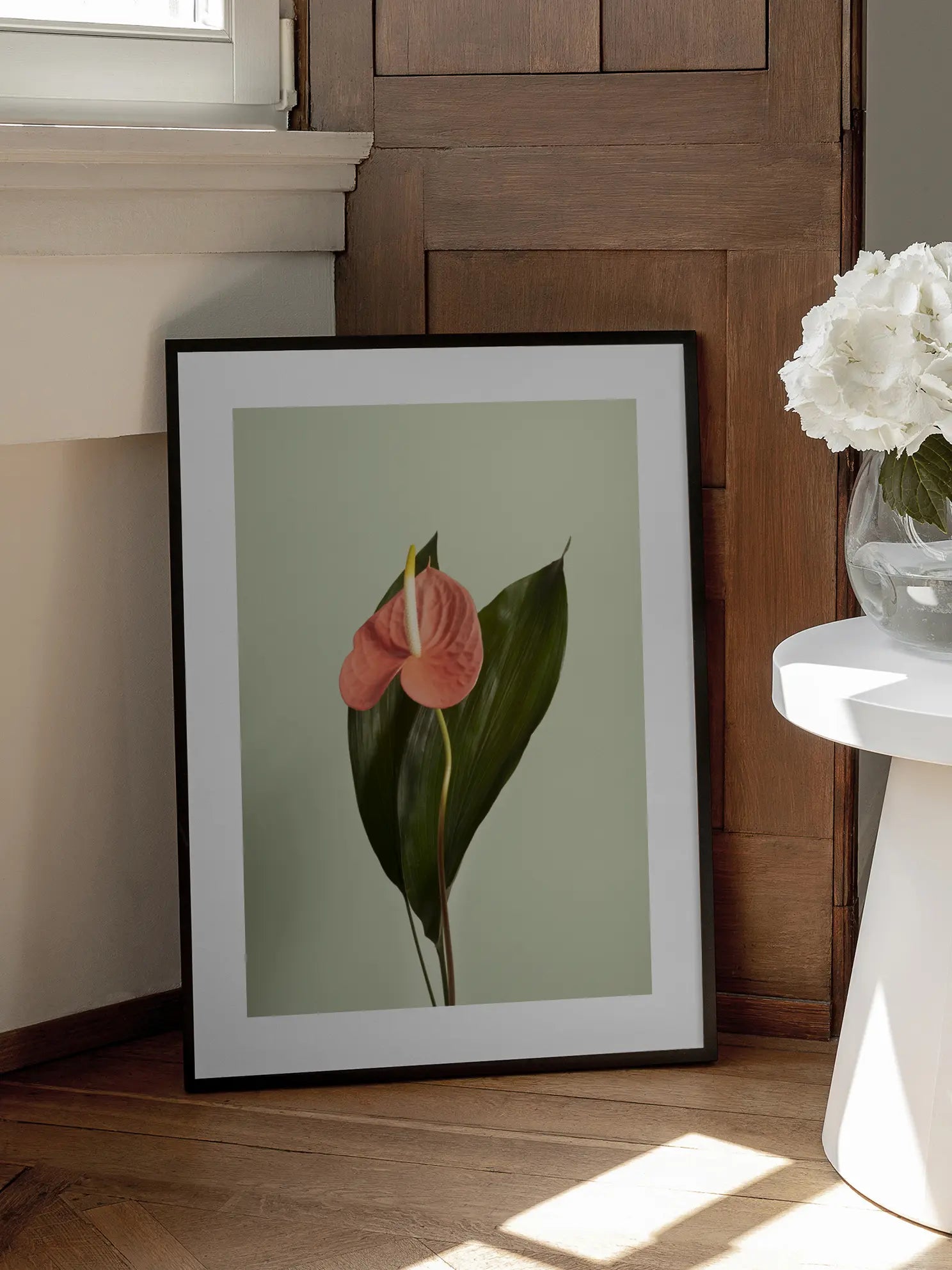 Pink Anthurium Poster
