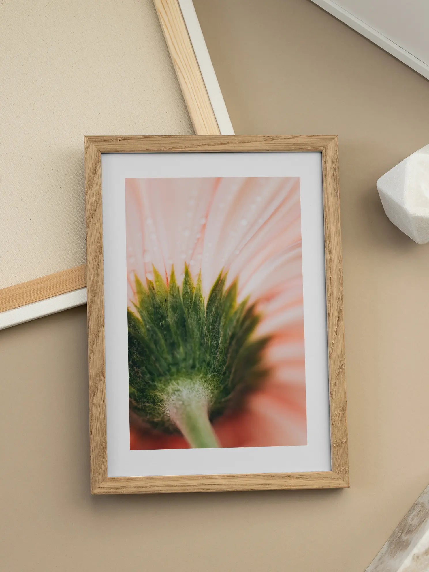 Pink Flower Close Up No3 Poster