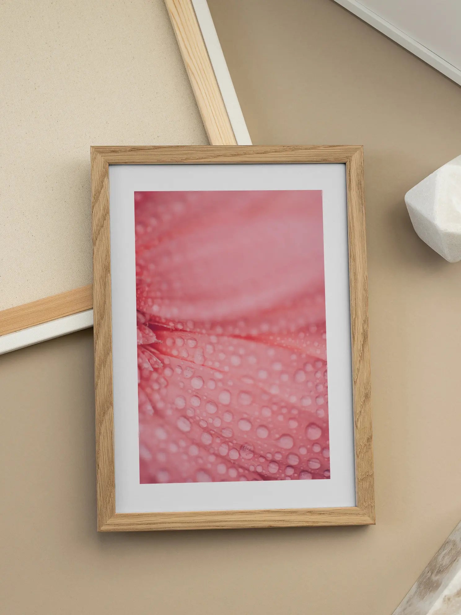 Pink Flower Petals Poster