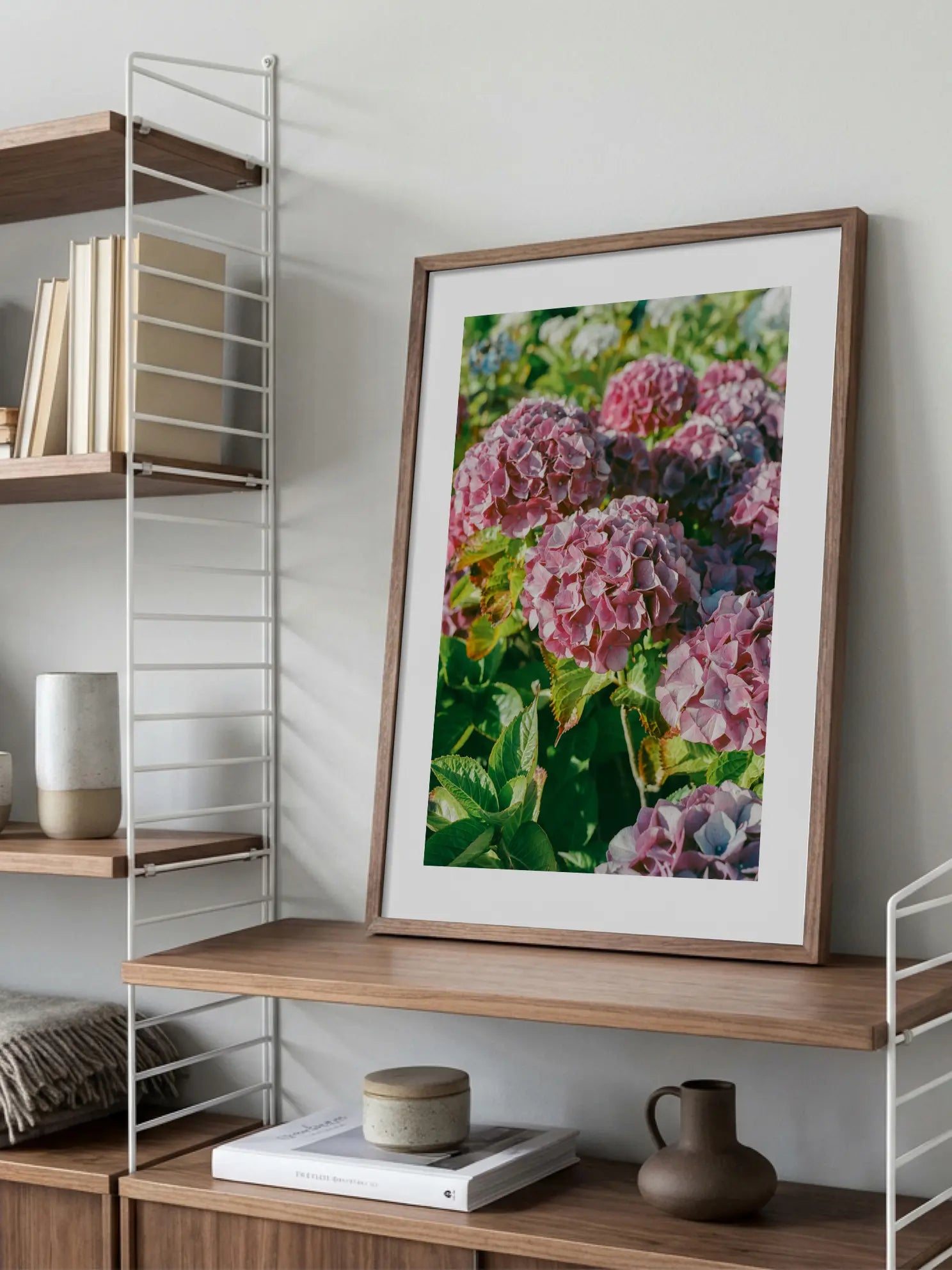 Pink Hydrangea Poster