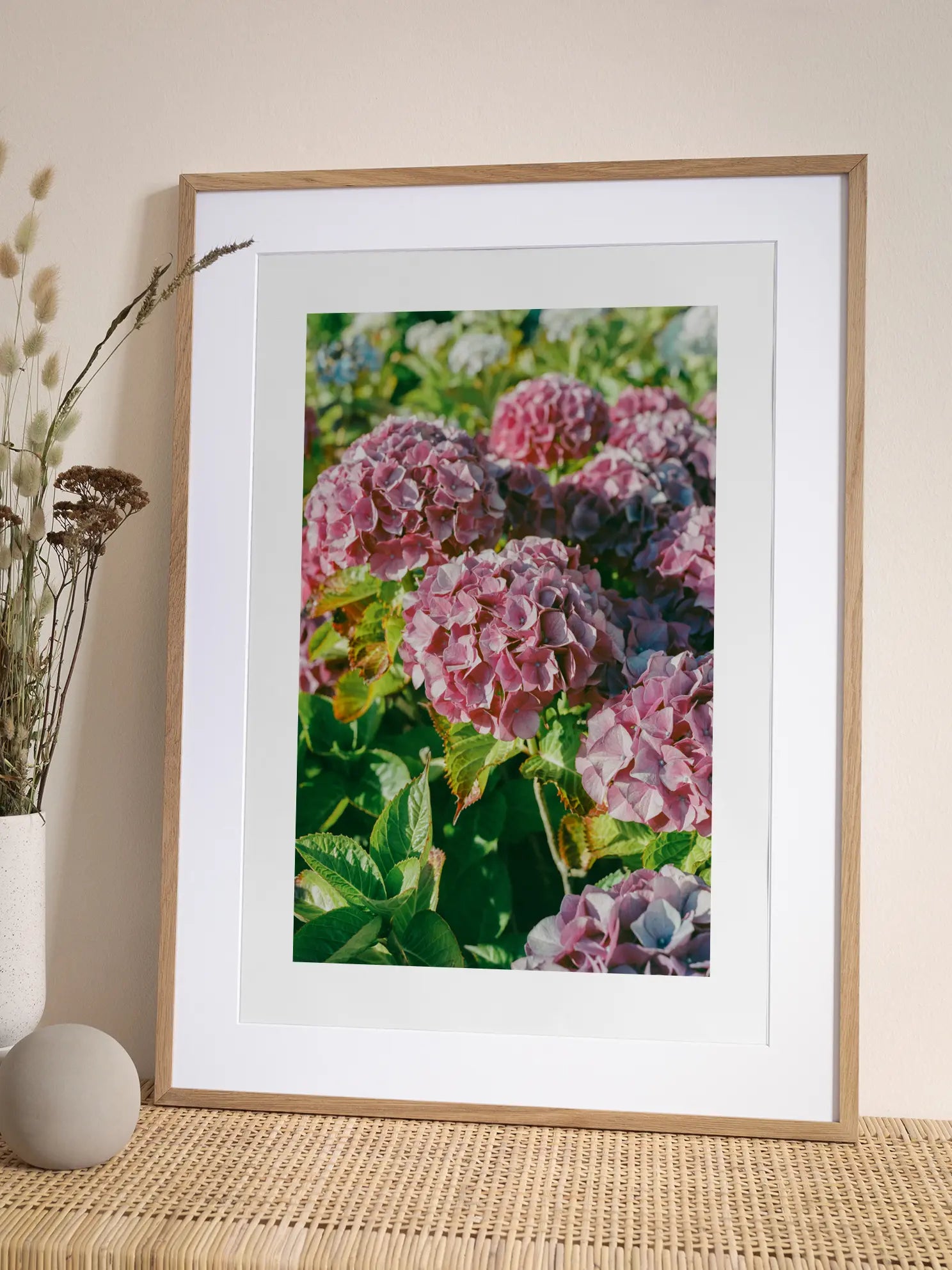 Pink Hydrangea Poster