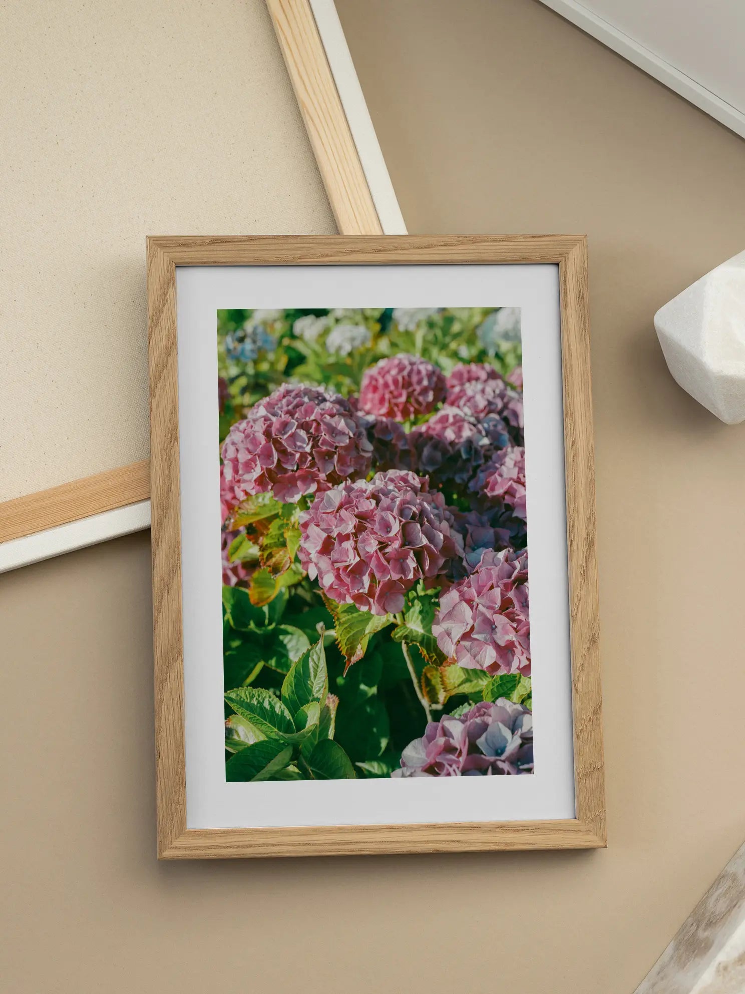 Pink Hydrangea Poster
