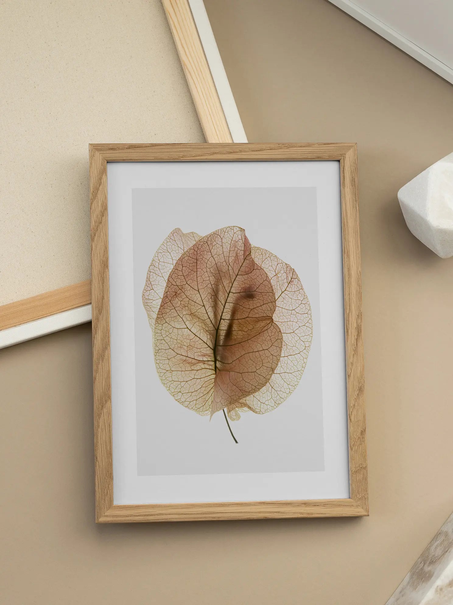 Pink Leaves Poster