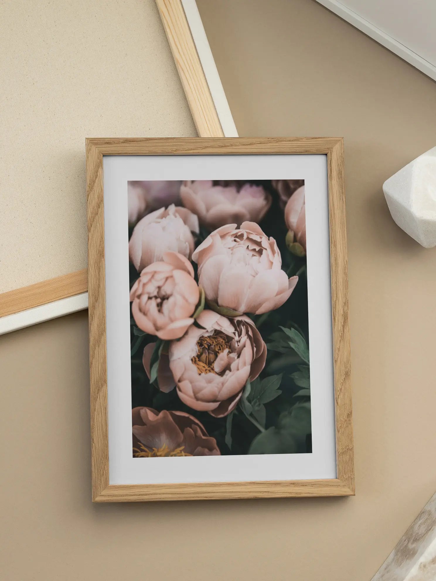 Pink Peonies Poster