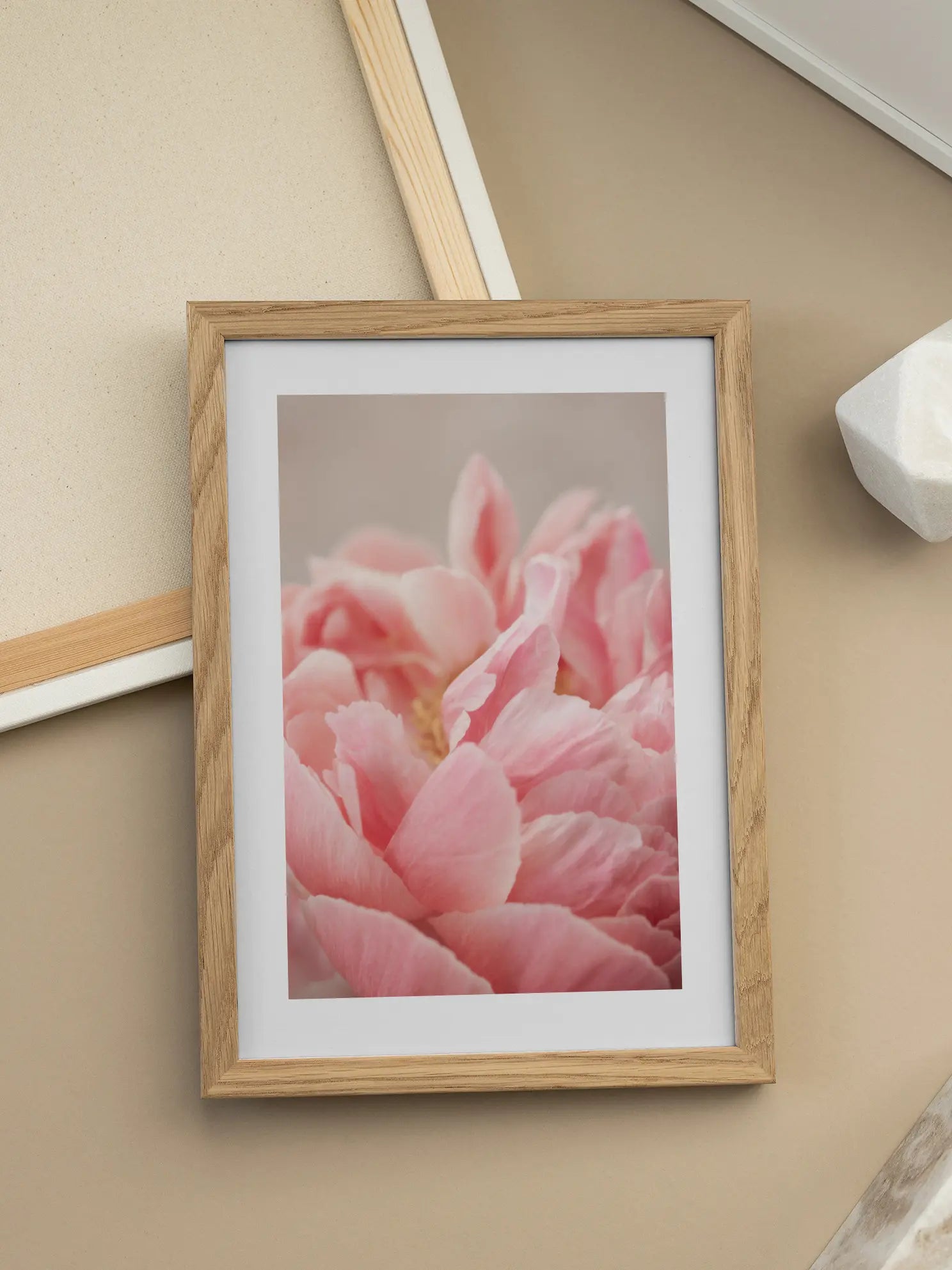 Pink Peony Close Up Poster