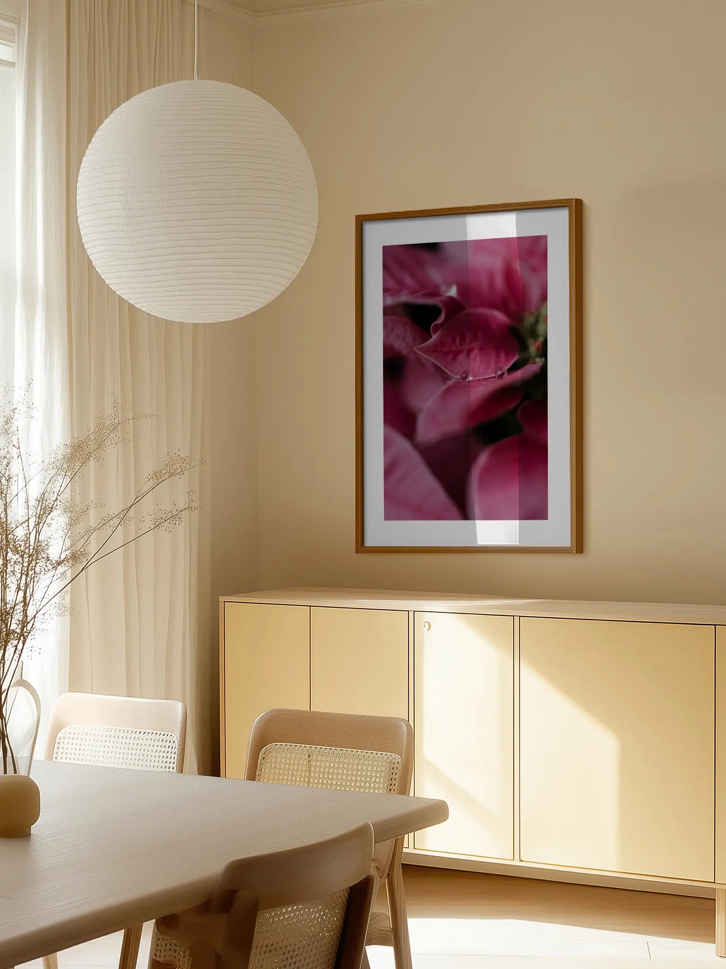 Pink Poinsettia Poster