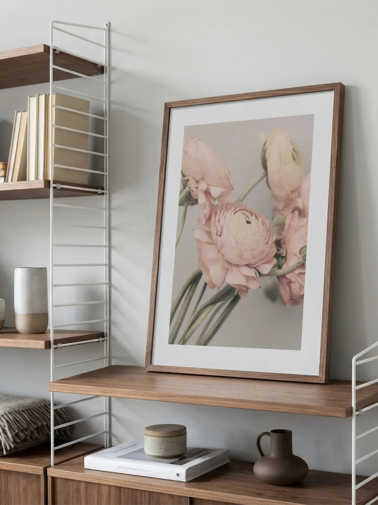 Pink Ranunculus Poster