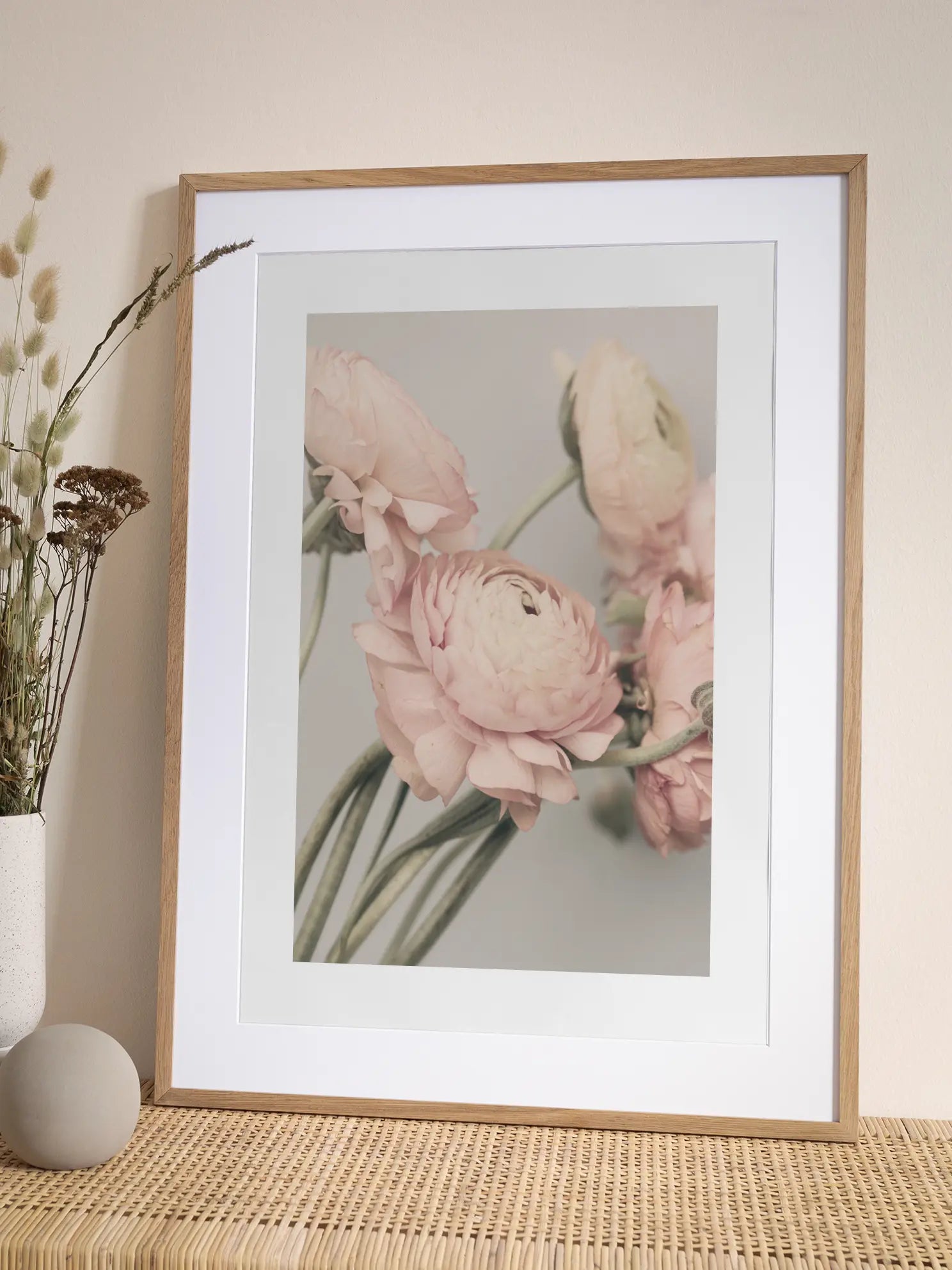 Pink Ranunculus Poster