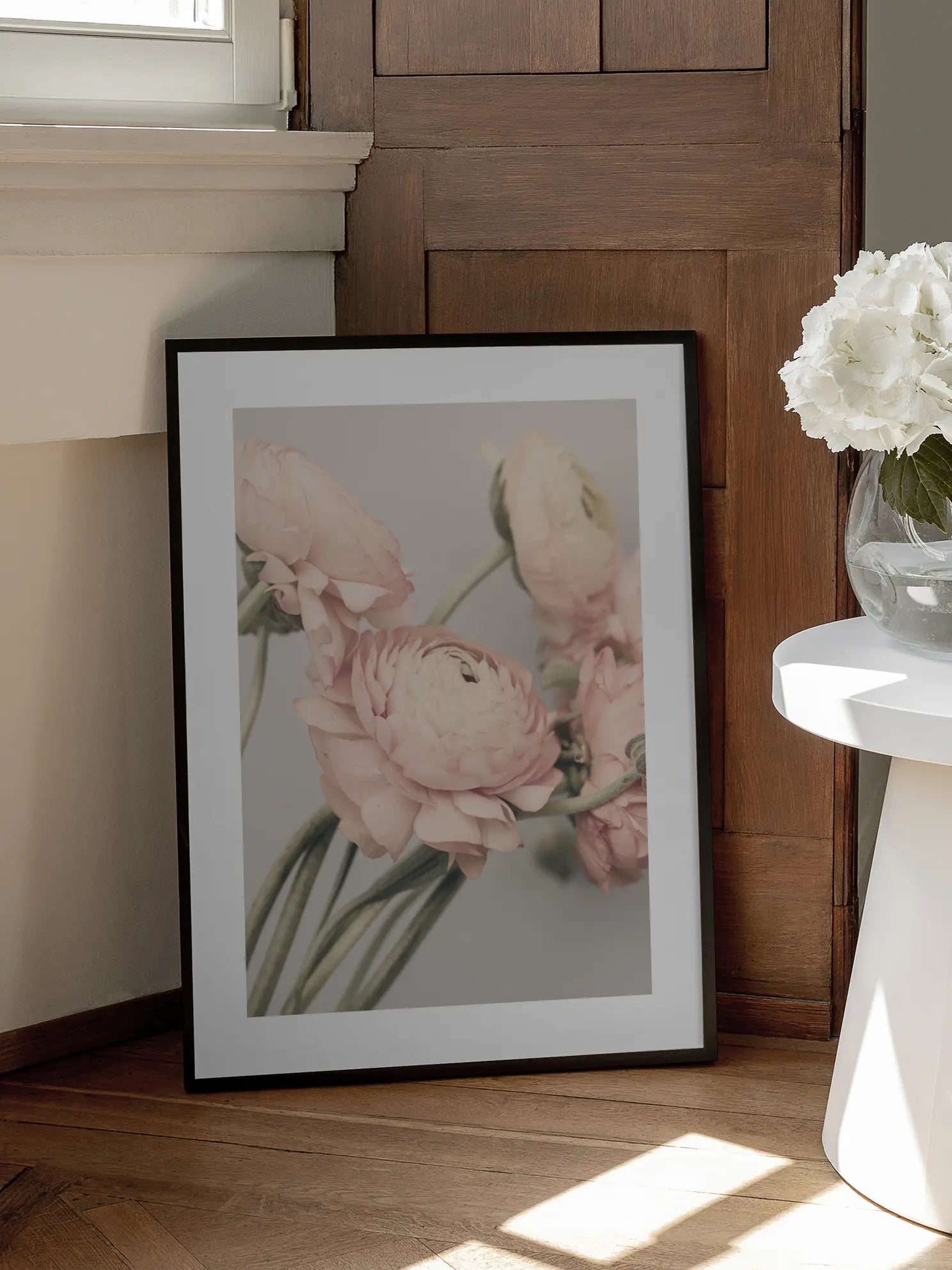Pink Ranunculus Poster