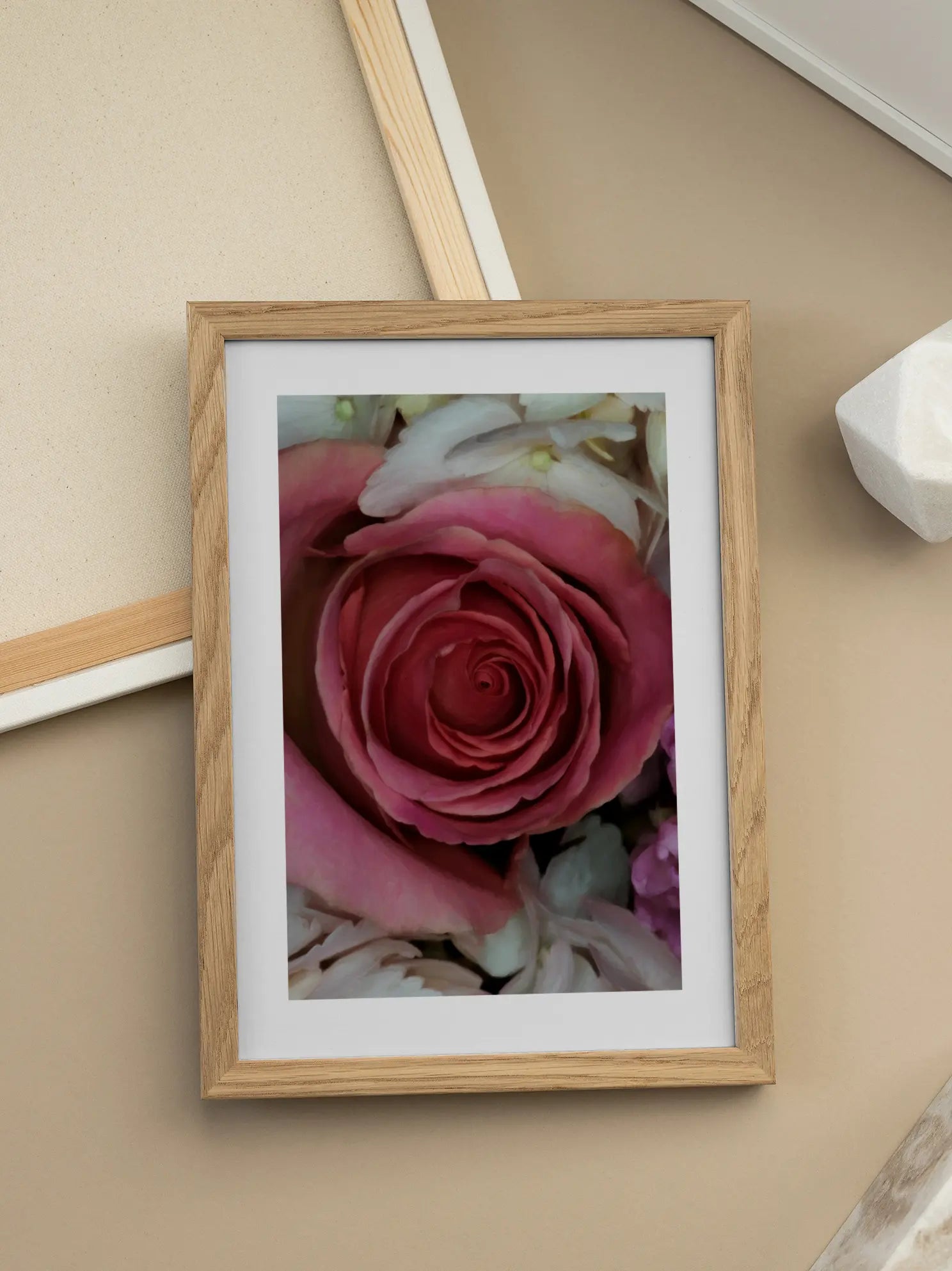 Pink Rose Poster