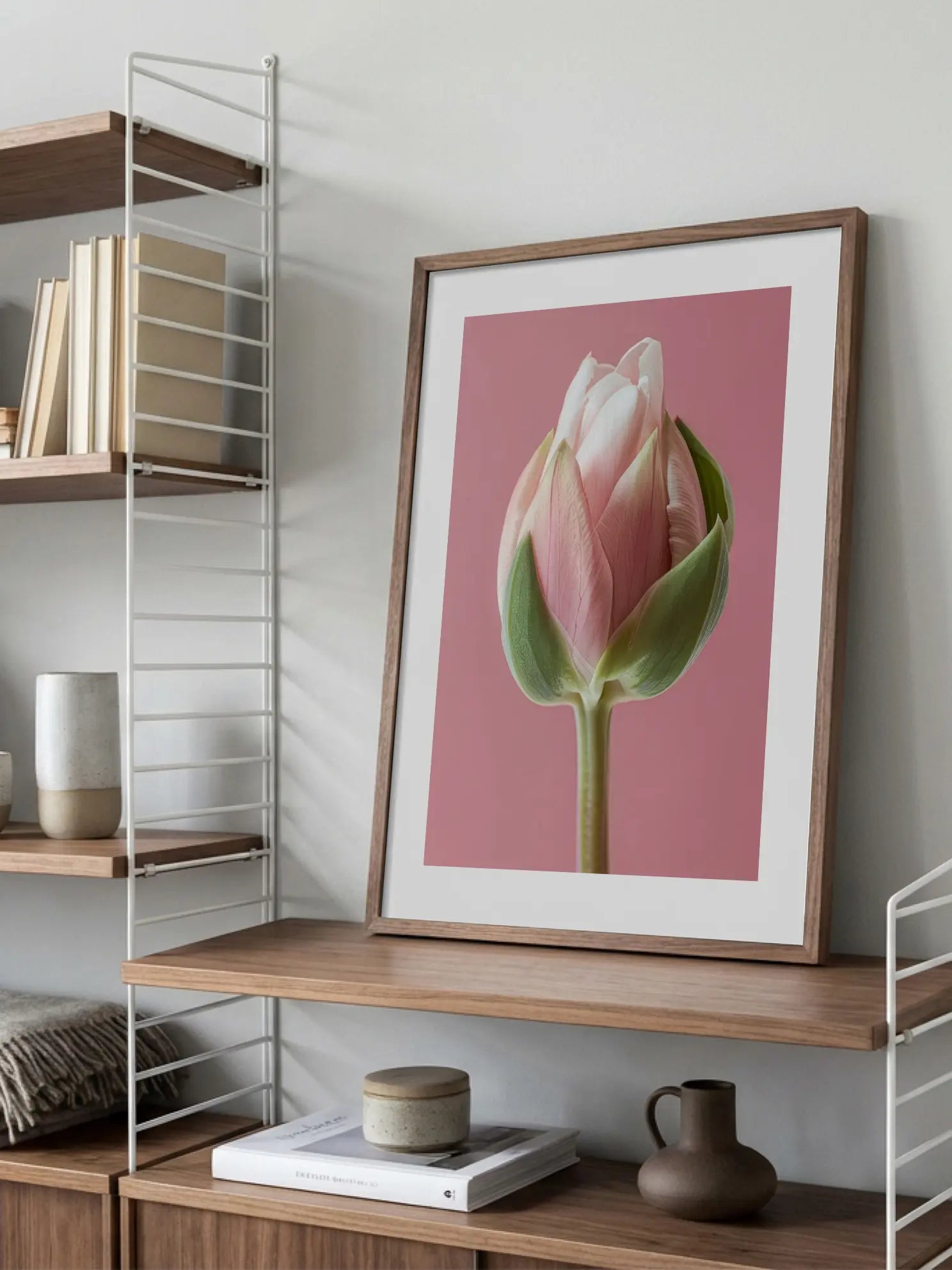 Pink Tulip Bud Poster