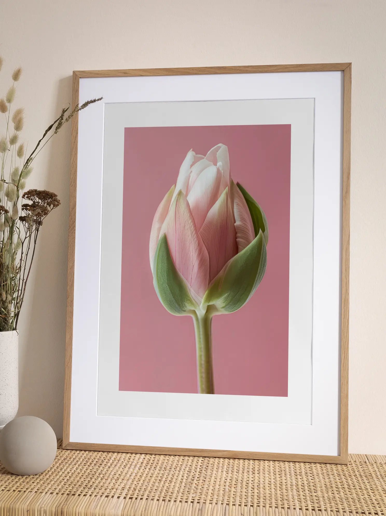 Pink Tulip Bud Poster