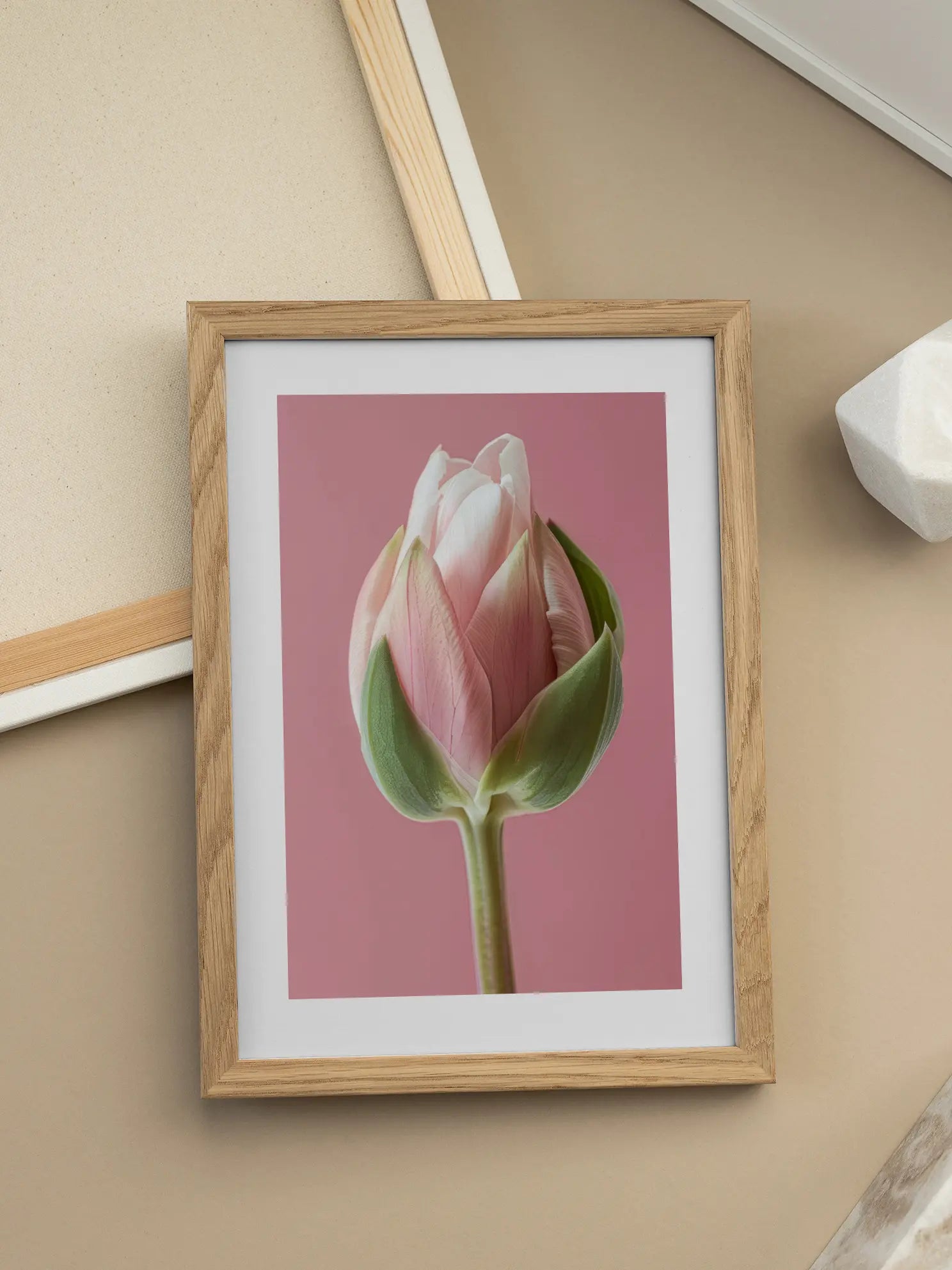 Pink Tulip Bud Poster