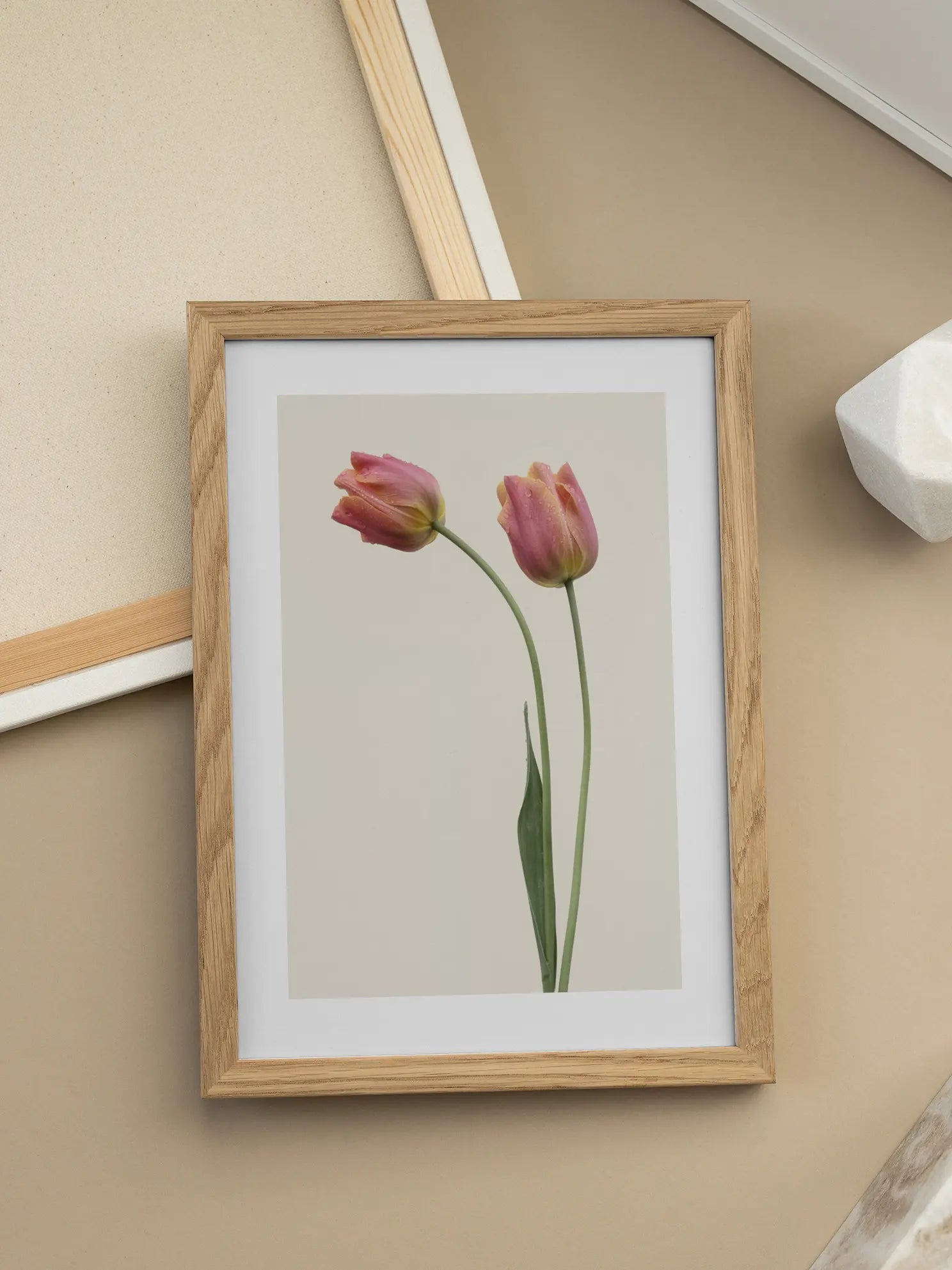 Pink Tulips Poster