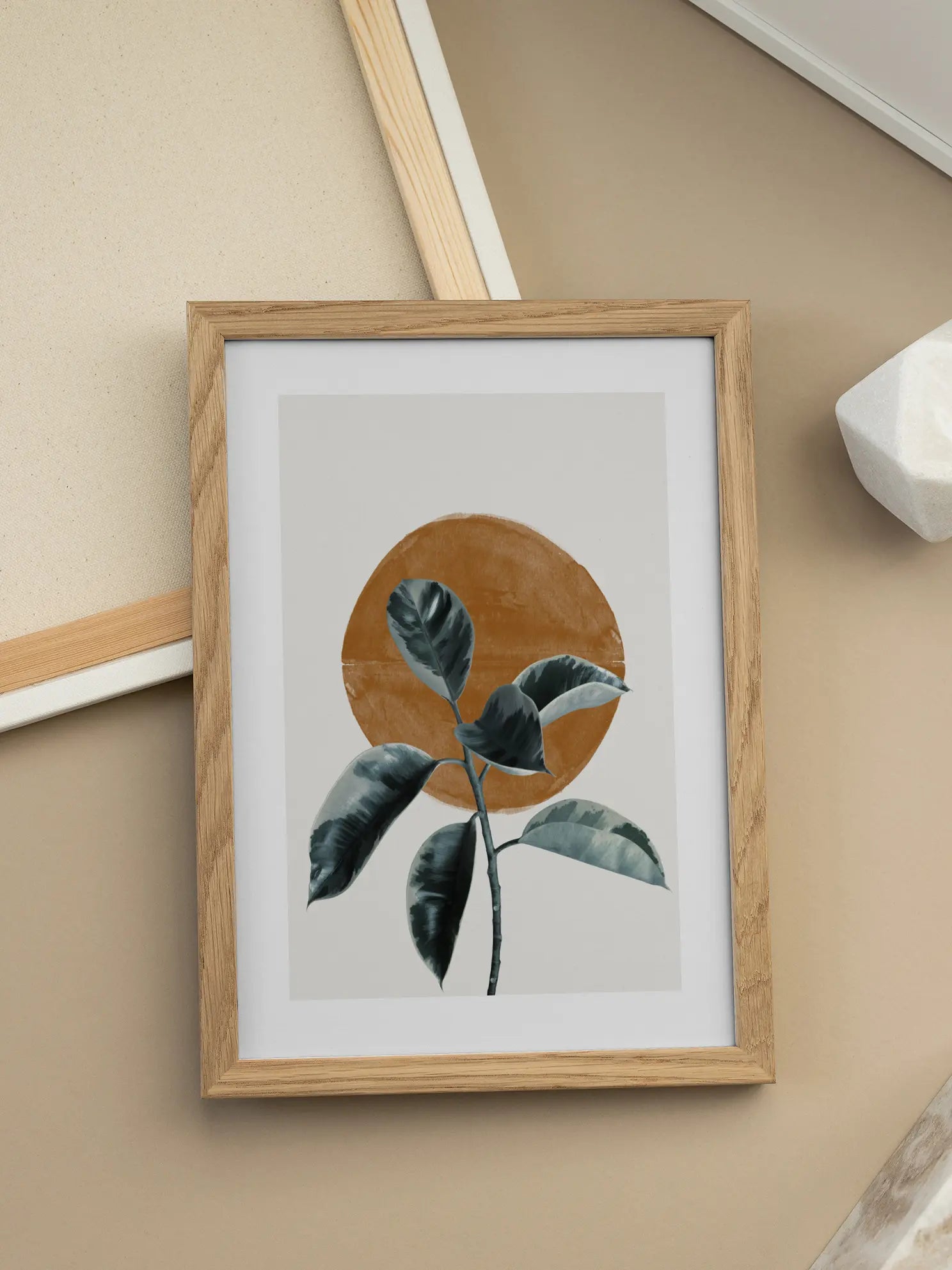 Plants in Focus Poster